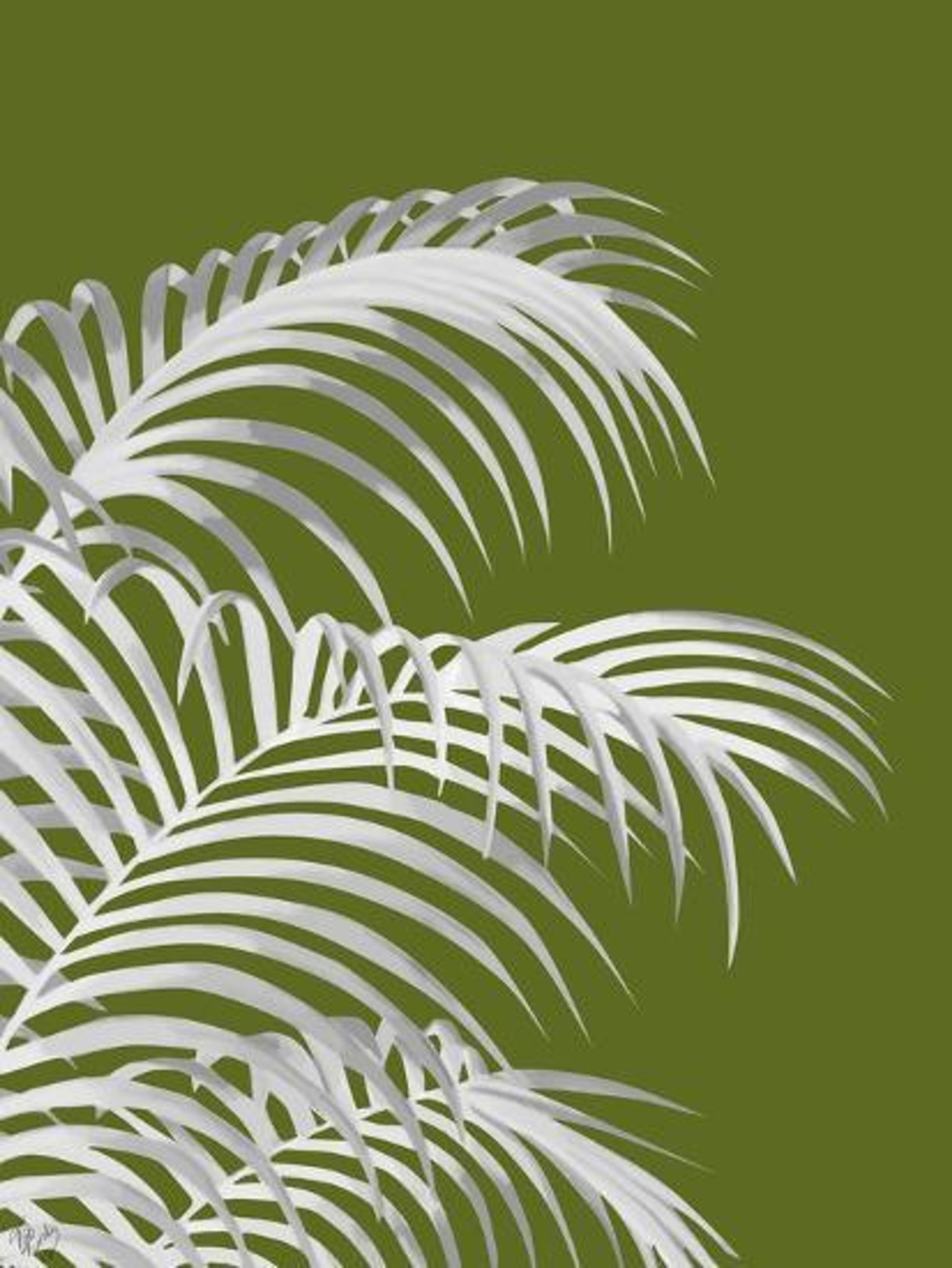 'Palm Leaf 1, White On Green' Art Print - Fab Funky | Art.com