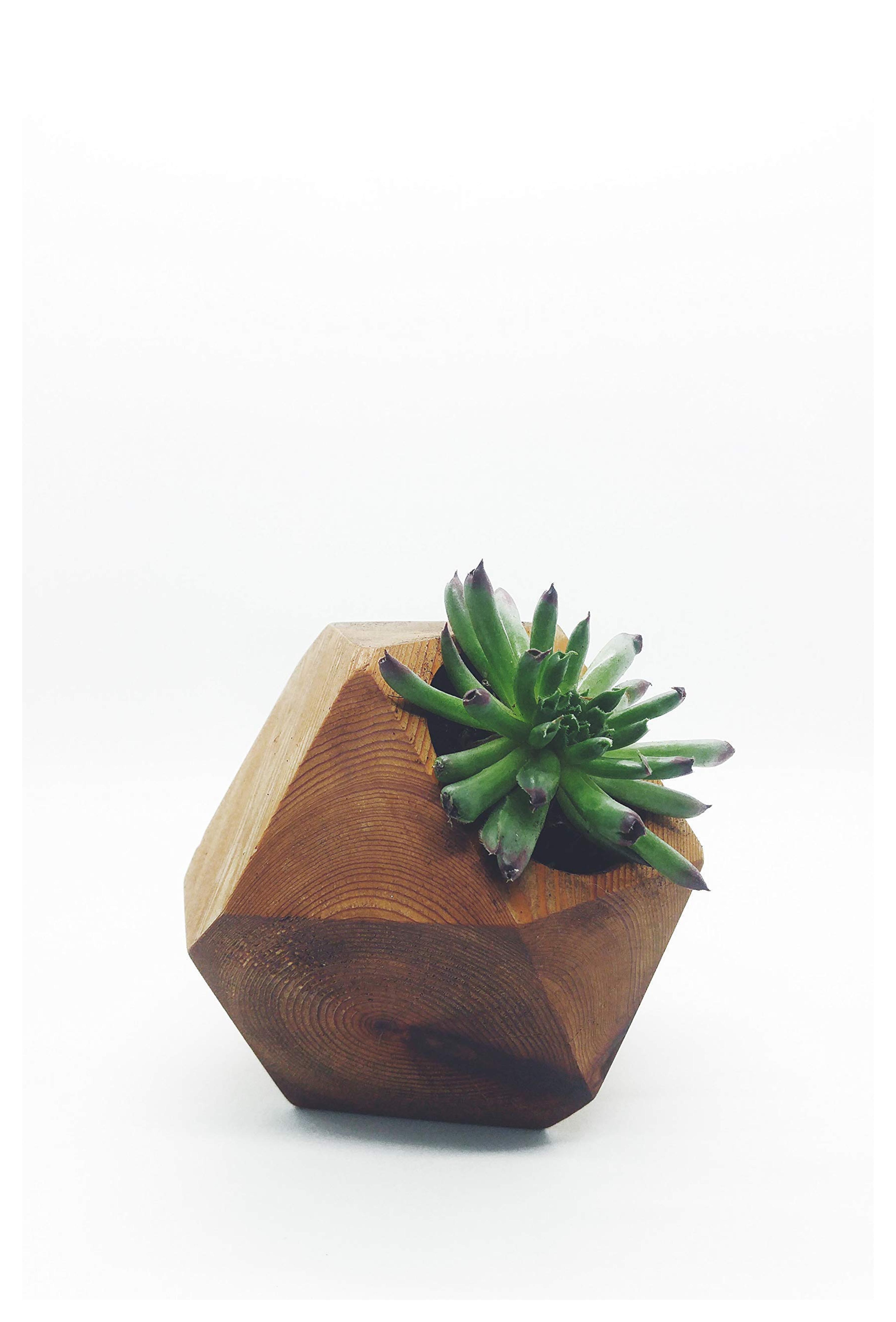 Geometric wood succulent holder, wood air plant holder, succulent holder, succulent planter, air plants, cactus holder, reclaimed cedar wood, birthday gift, christmas gift