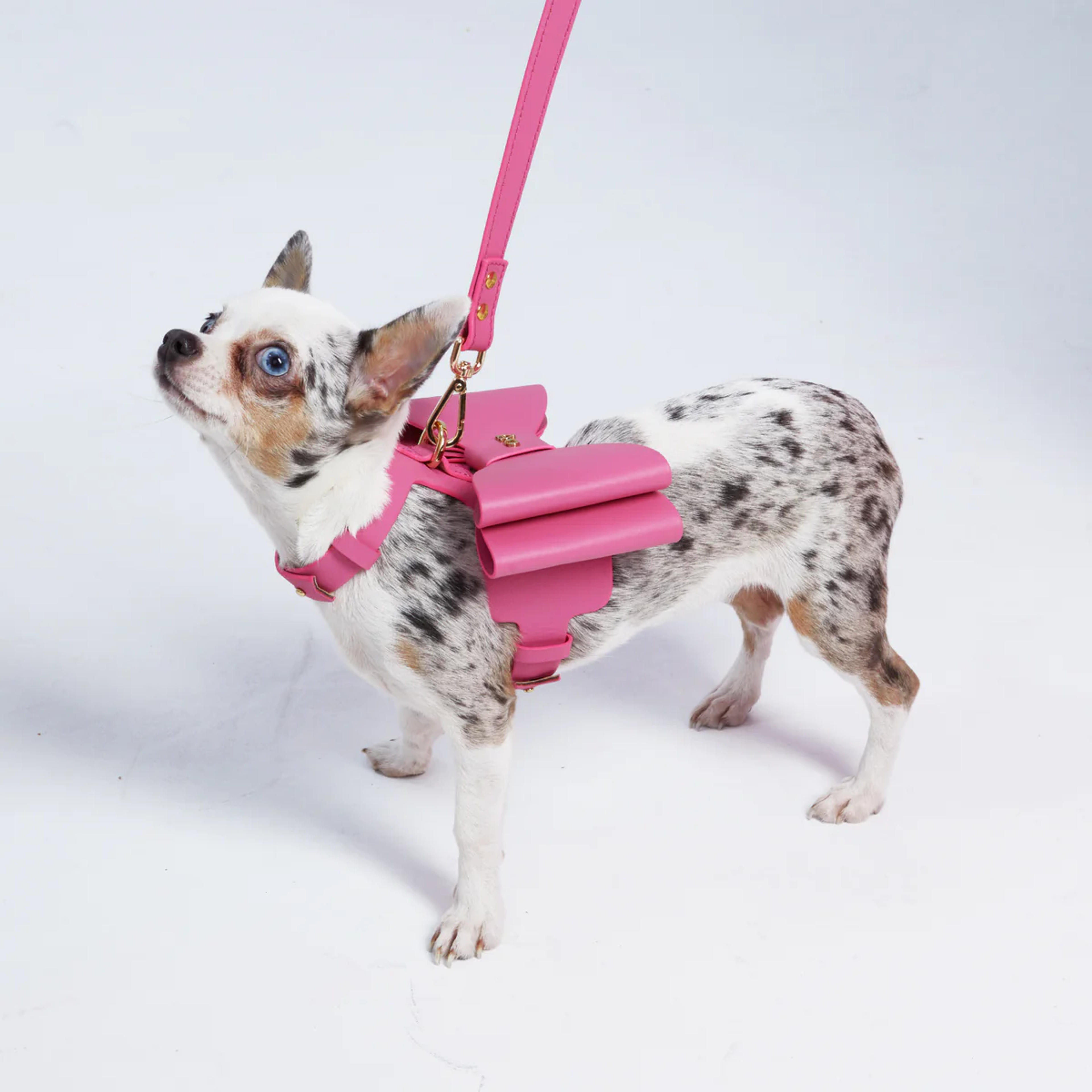 Metapink Bow Dog Harness– Moshiqa Store