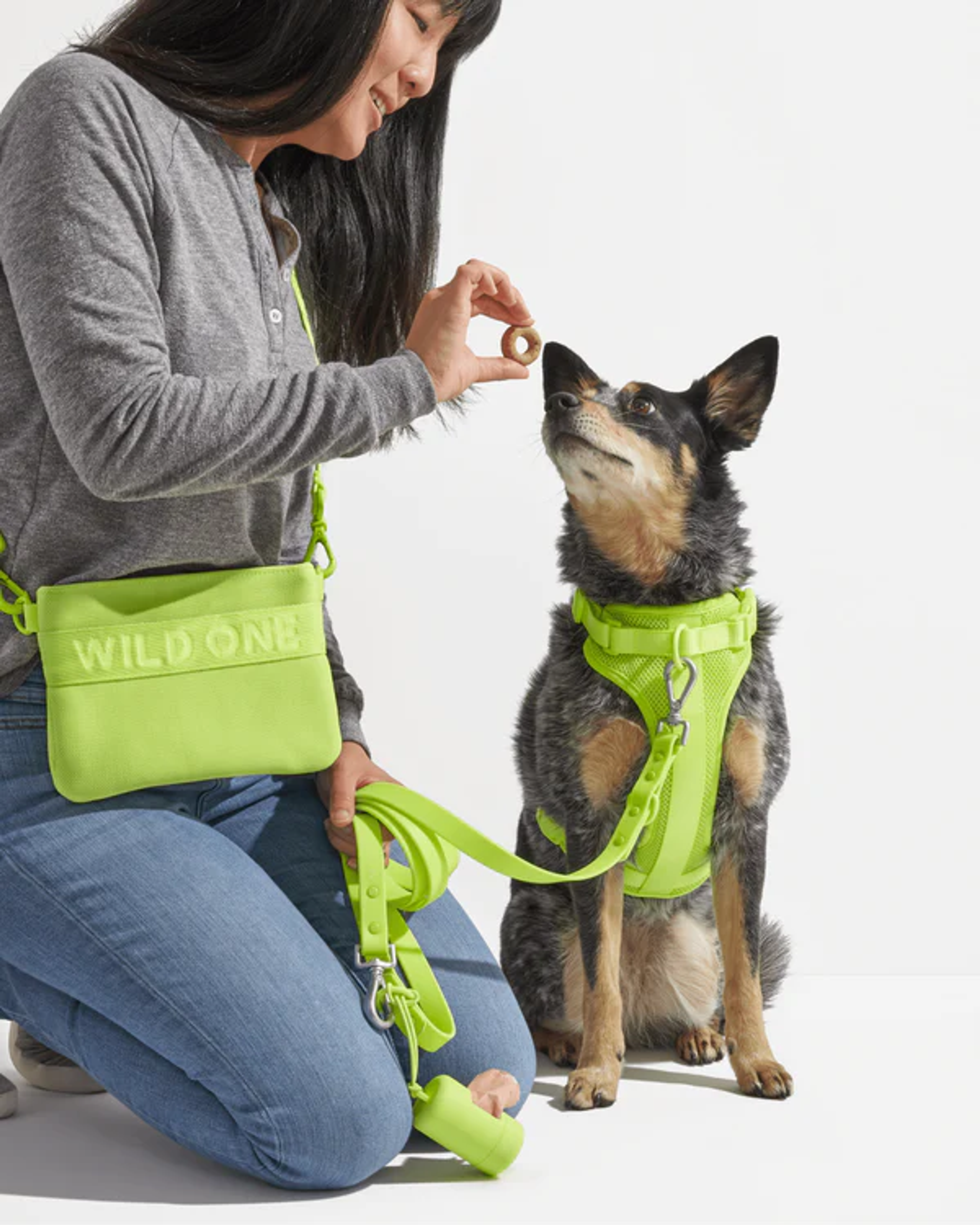 Dog Treat Pouch & Poop Bag Holder | Wild One