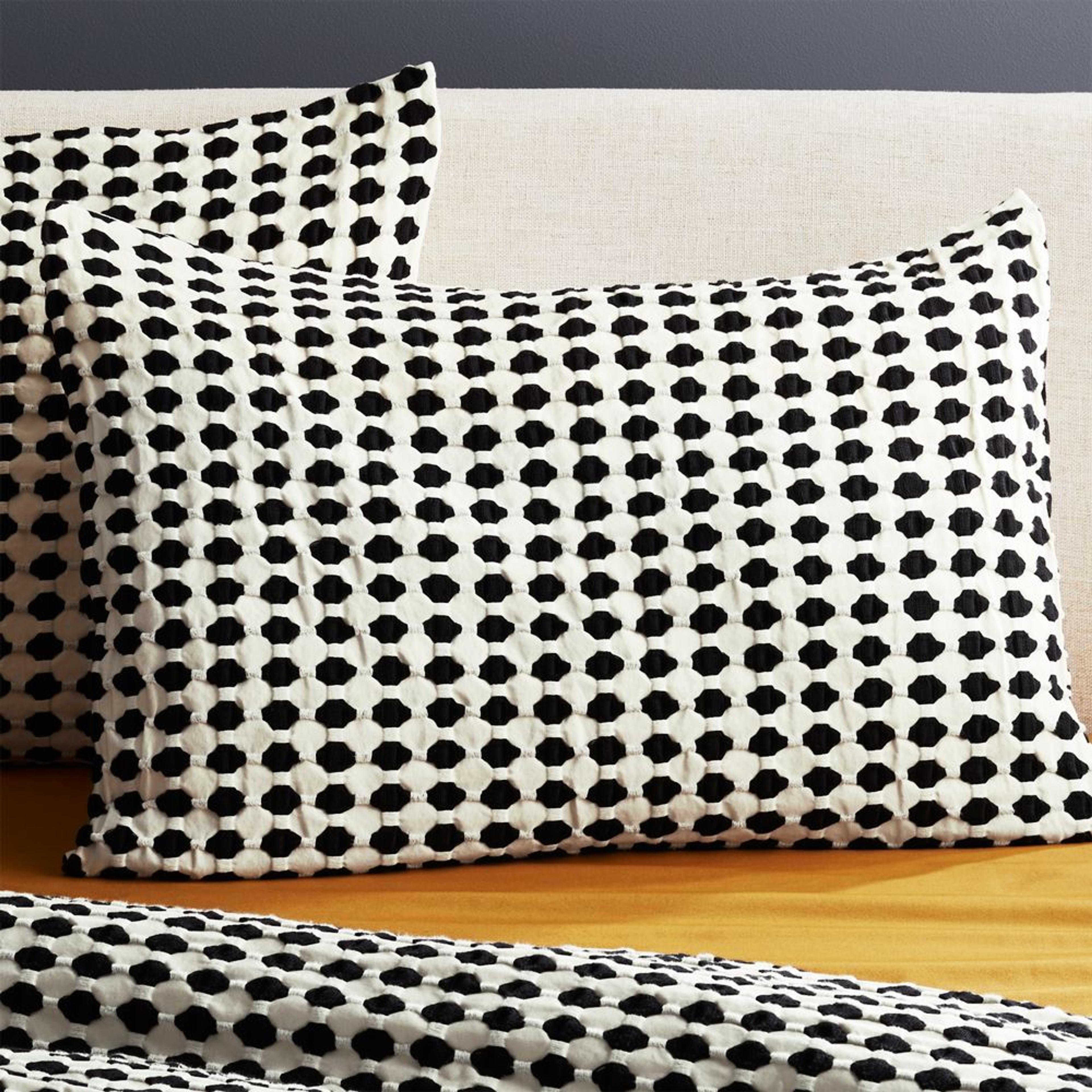 Estela Black and White Organic Cotton Standard Shams Set of 2