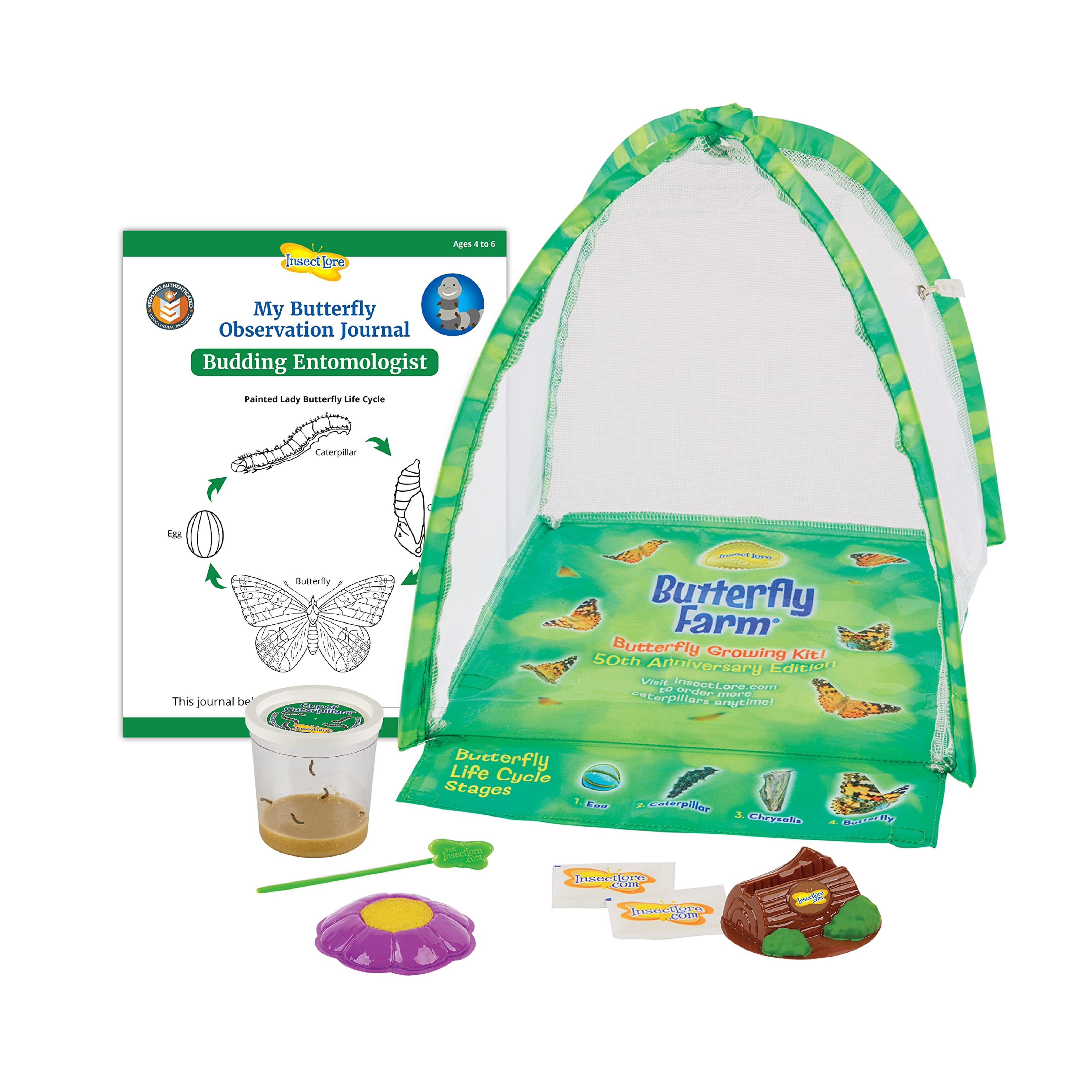 Amazon.com: Butterfly Garden: Farm Habitat and Live Cup of Caterpillars – Life Science & STEM Education : Everything Else