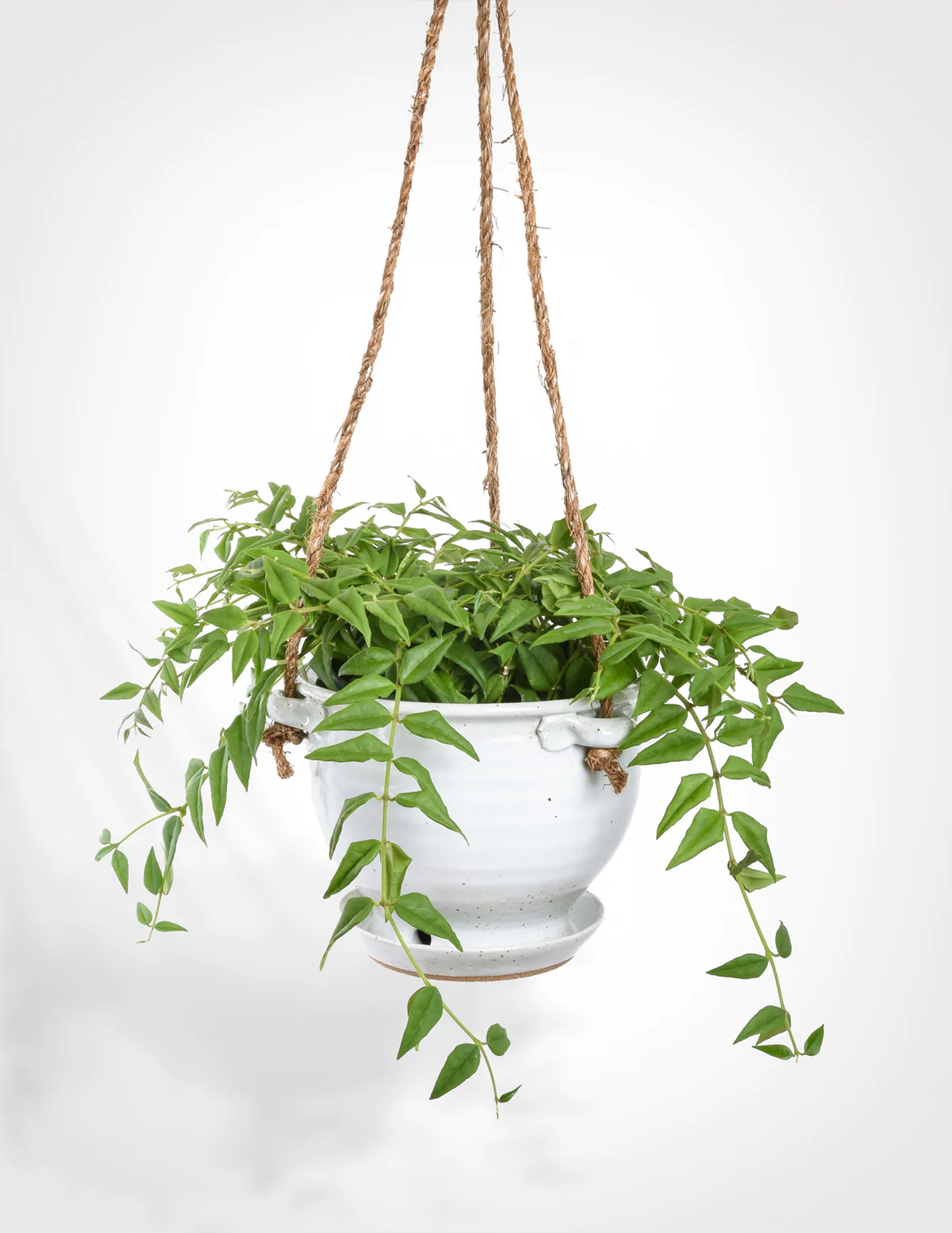 Hand Thrown Hanging Planter - White Speckle