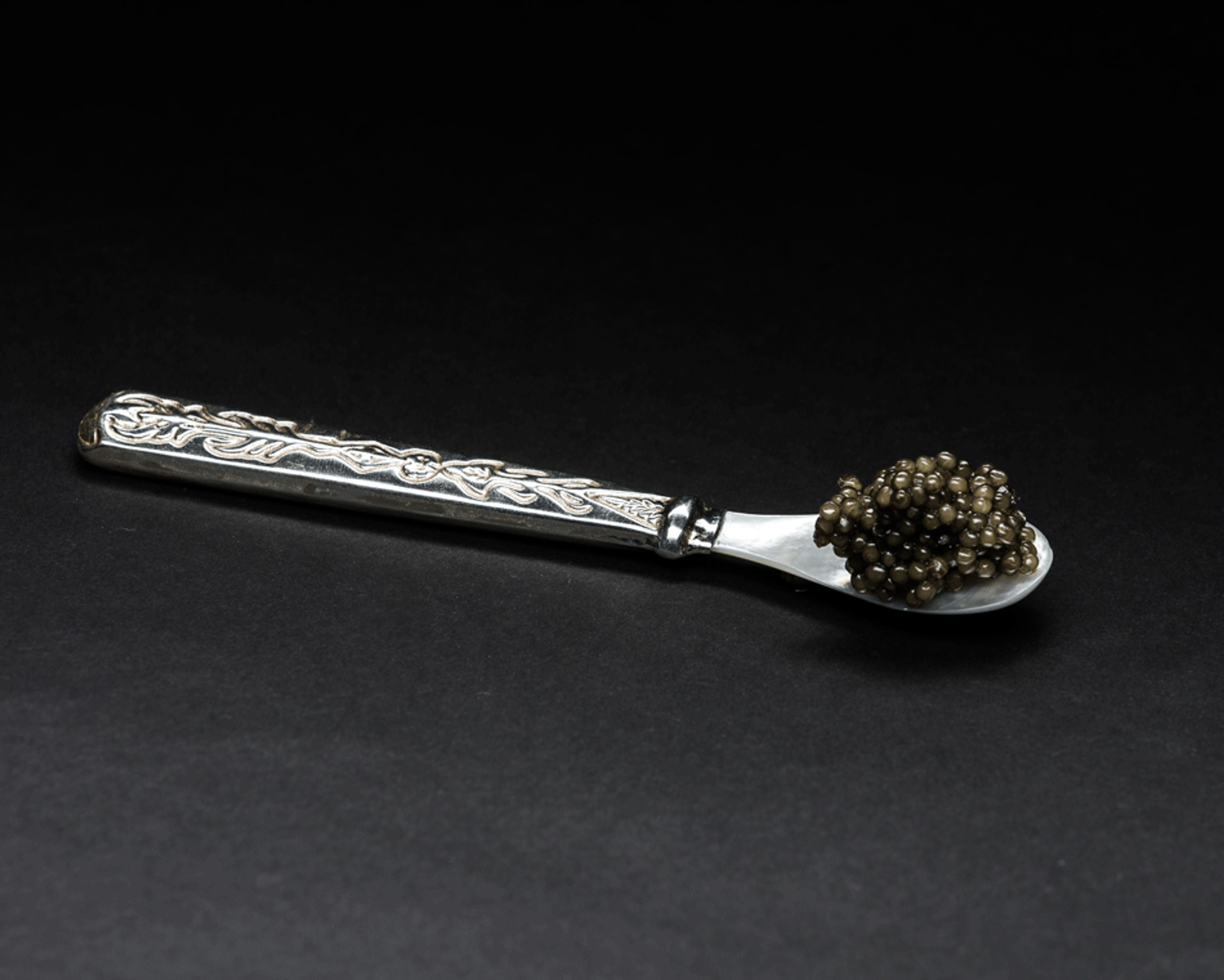 Embroidered Caviar Spoon