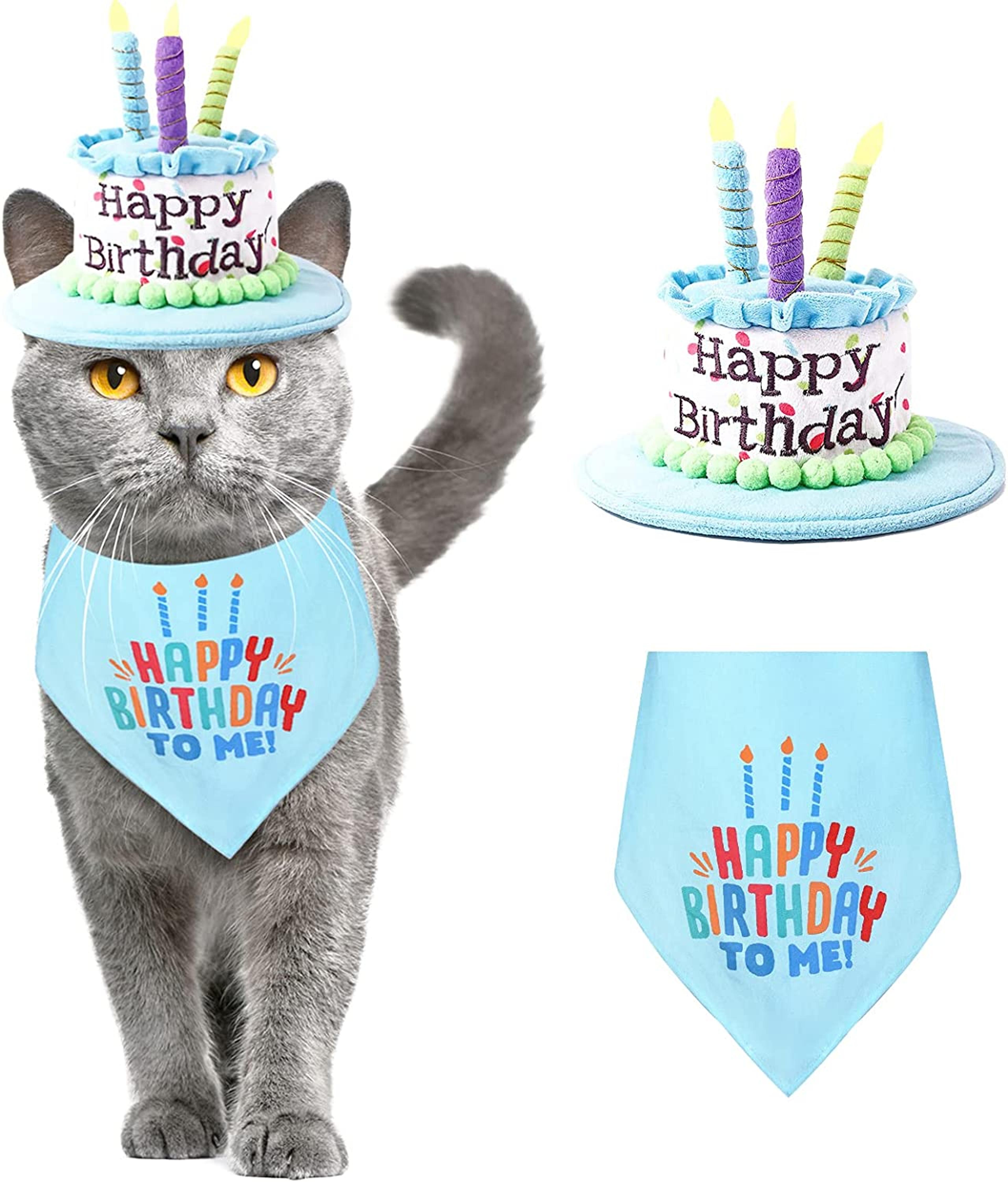 Ushang Pet Puppy & Cat Birthday Cake Hat & Bandana Scarfs Set, Handmade Cat Happy Birthday Hat with Colorful Candles & Green Pom Poms, Cat Birthday Party Supplies Decorations (Small)