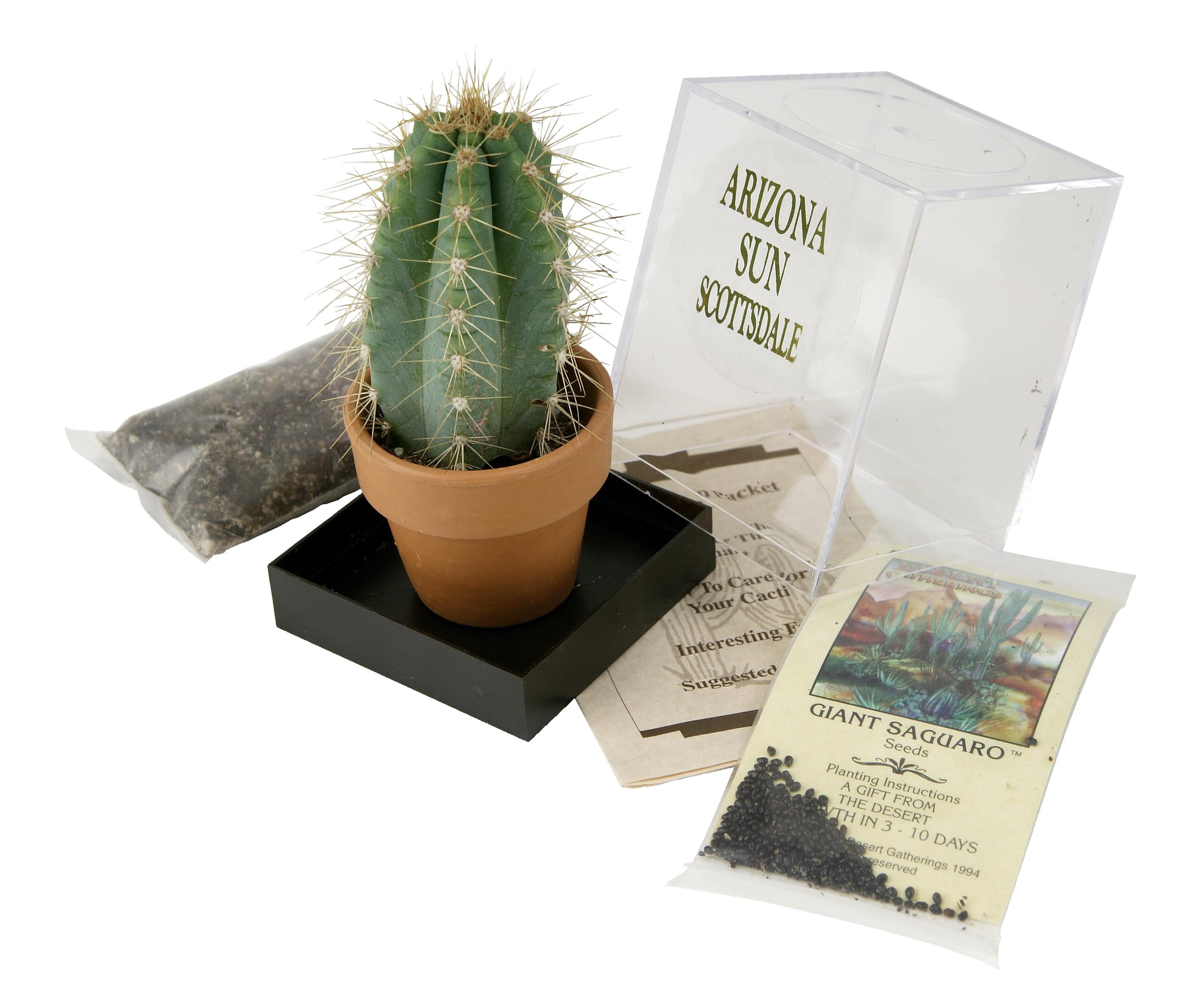 Grow your own Saguaro Cactus Kit - Incubator - Cactus Seeds - Southwest Arizona Southwestern Gift Idea - Seed Propagation - Desert Souvenir