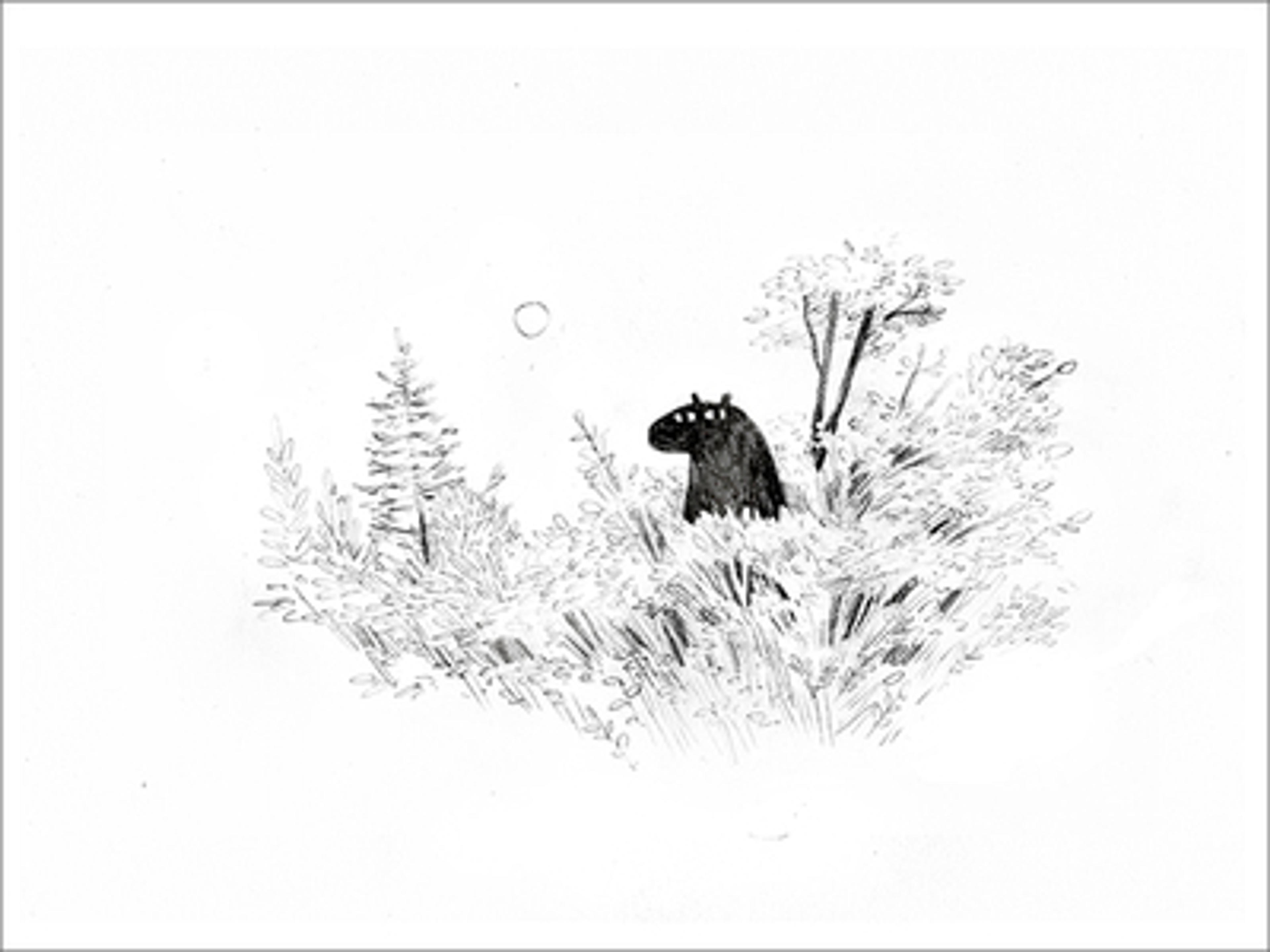 Bear in Woods (PRINT) - Nucleus | Art Gallery and Store