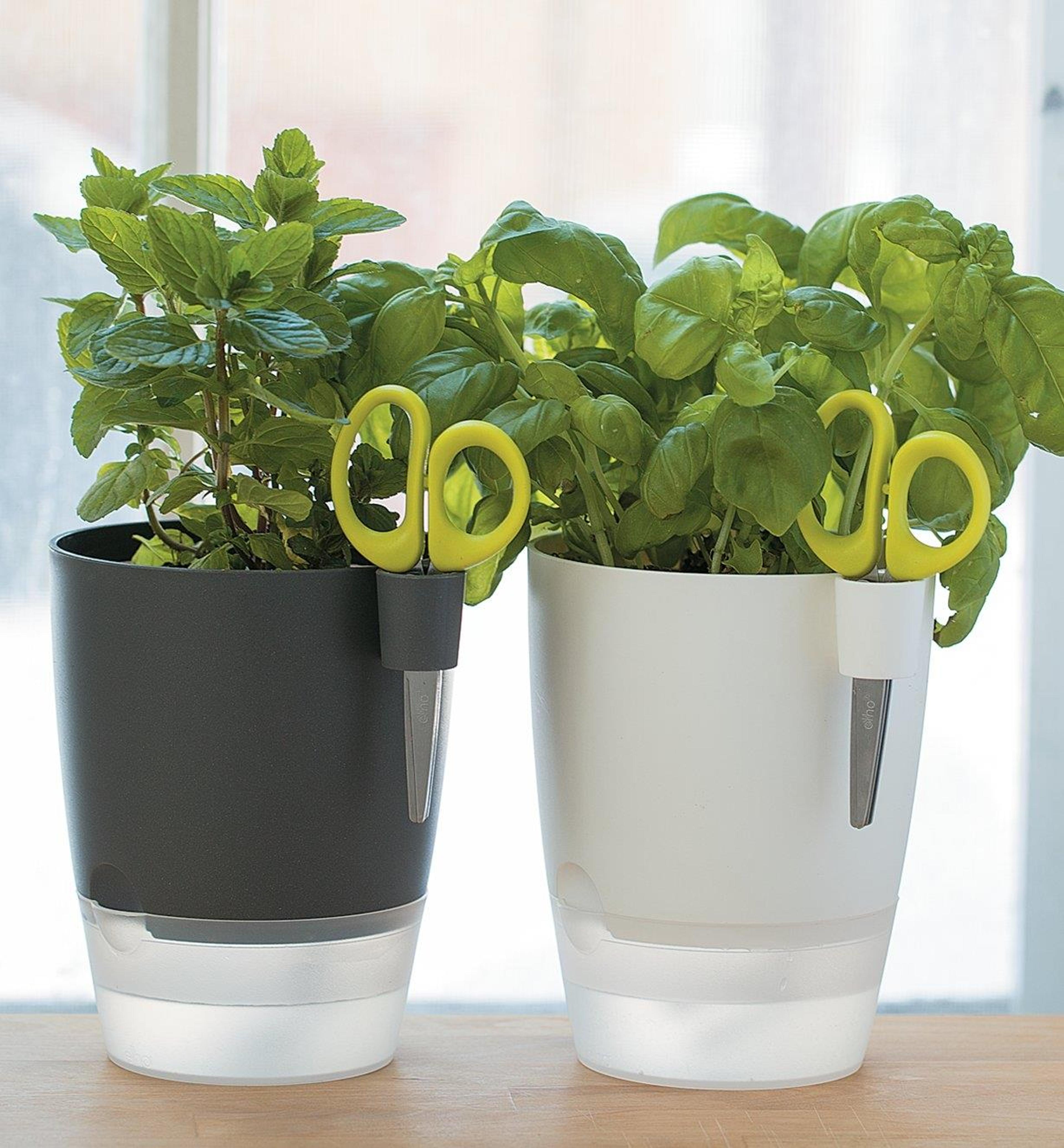 Elho Windowsill Herb Pot