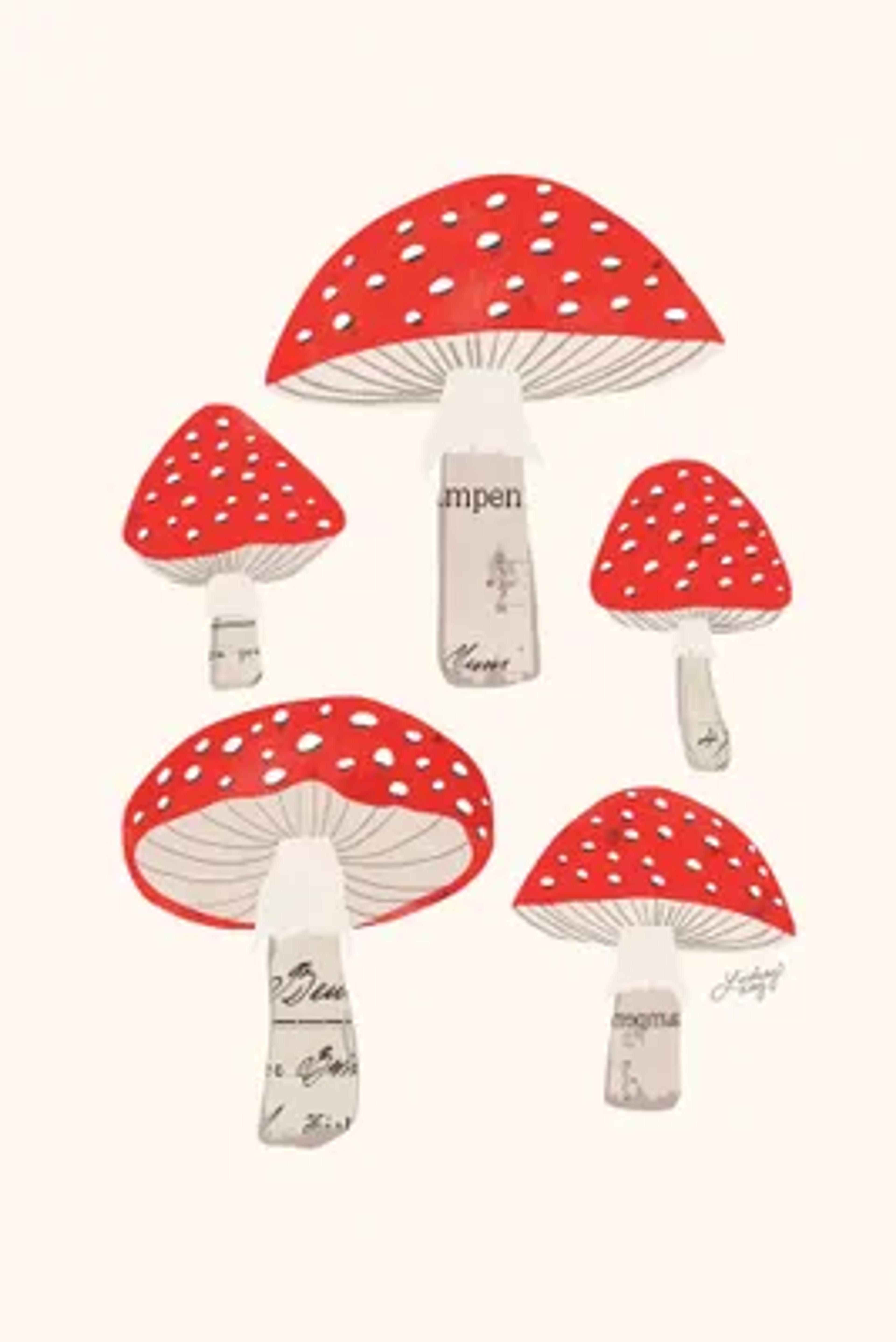 Red Mushrooms Canvas Print by LindseyKayCo | iCanvas