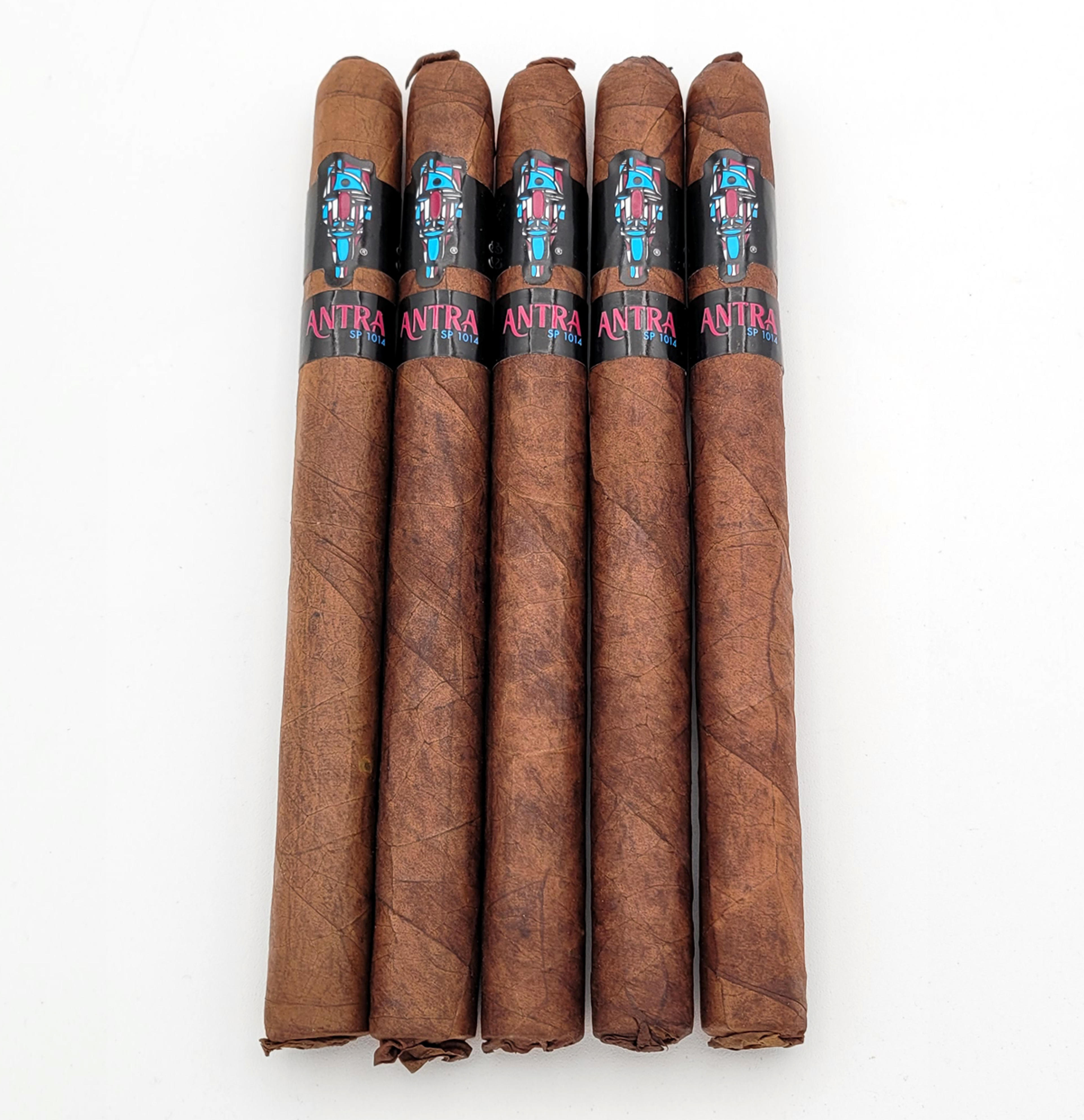 SP1014 Antra Limited Edition (5-Pack) – Should I Smoke This?