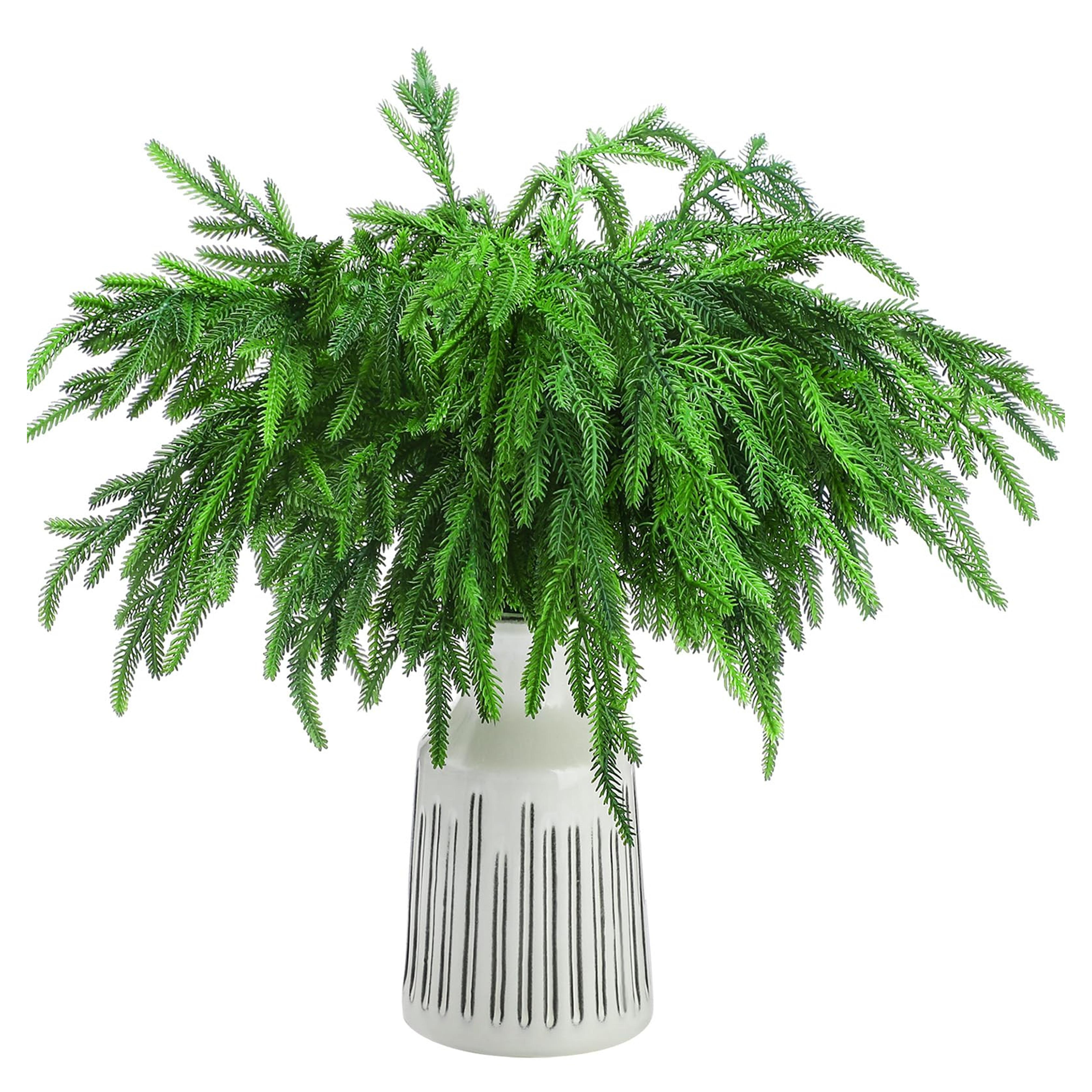 Amazon.com: Jutom 12 Pcs Christmas Norfolk Pine Branches, 18 Inch Norfolk Pine Artificial Christmas Branches DIY Crafts Faux Christmas Norfolk Pine Branches for Xmas Indoor Outdoor Home Decor : Home & Kitchen