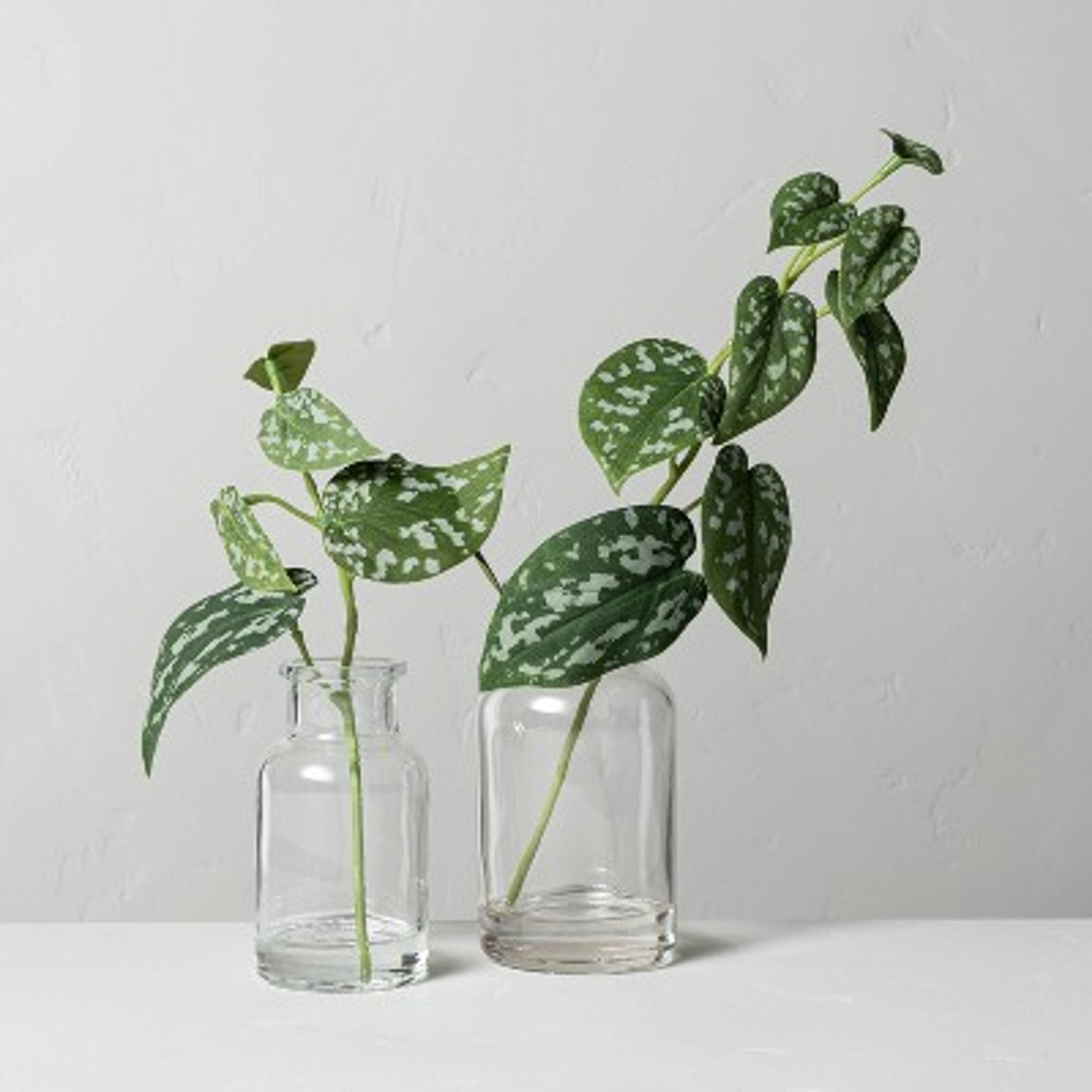 Set Of 2 Small & Large Faux Silver Philodendron Arrangements - Hearth & Hand™ With Magnolia : Target