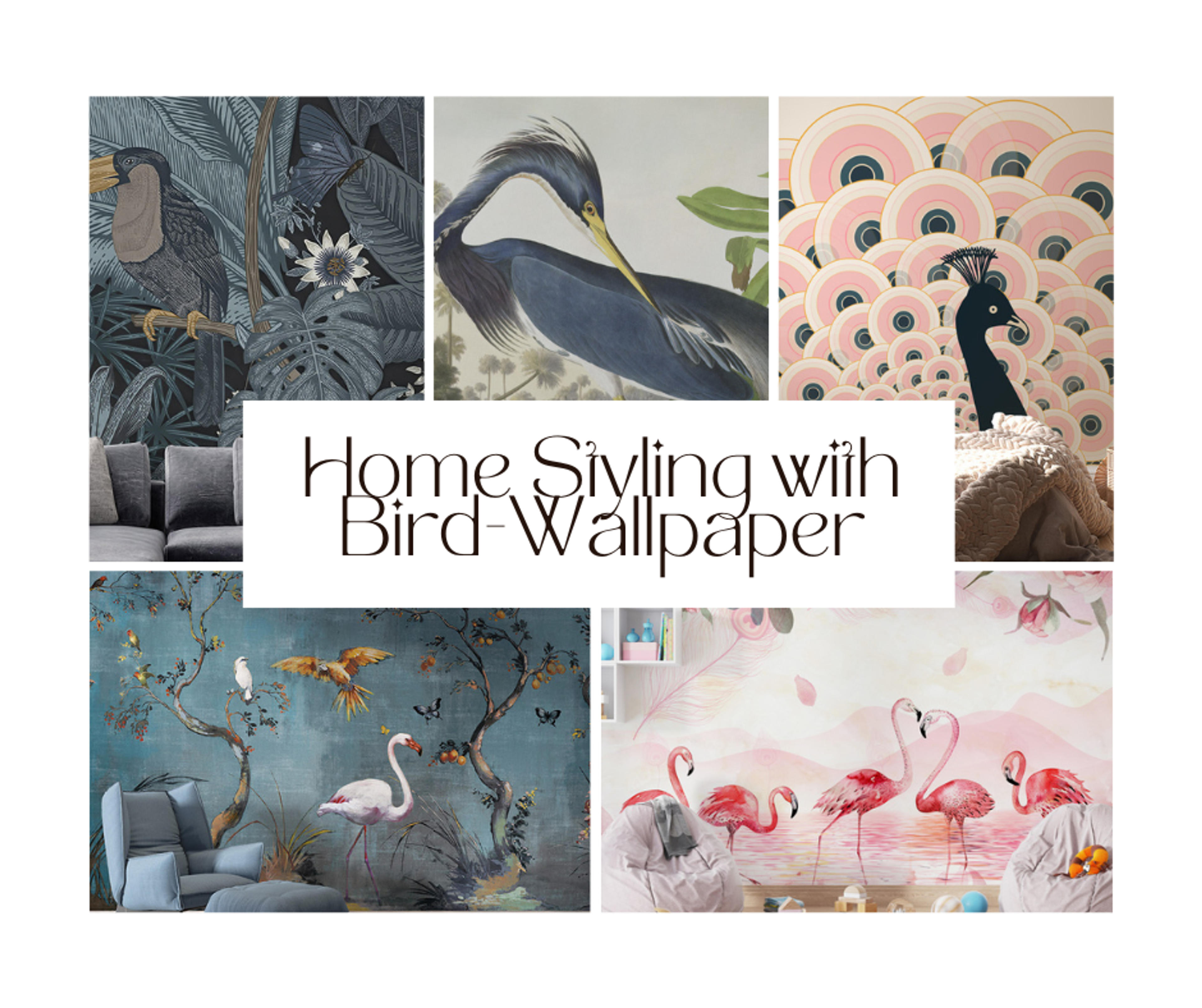 Bird-Inspired Wallpaper: Bringing Nature into Your Home Styling