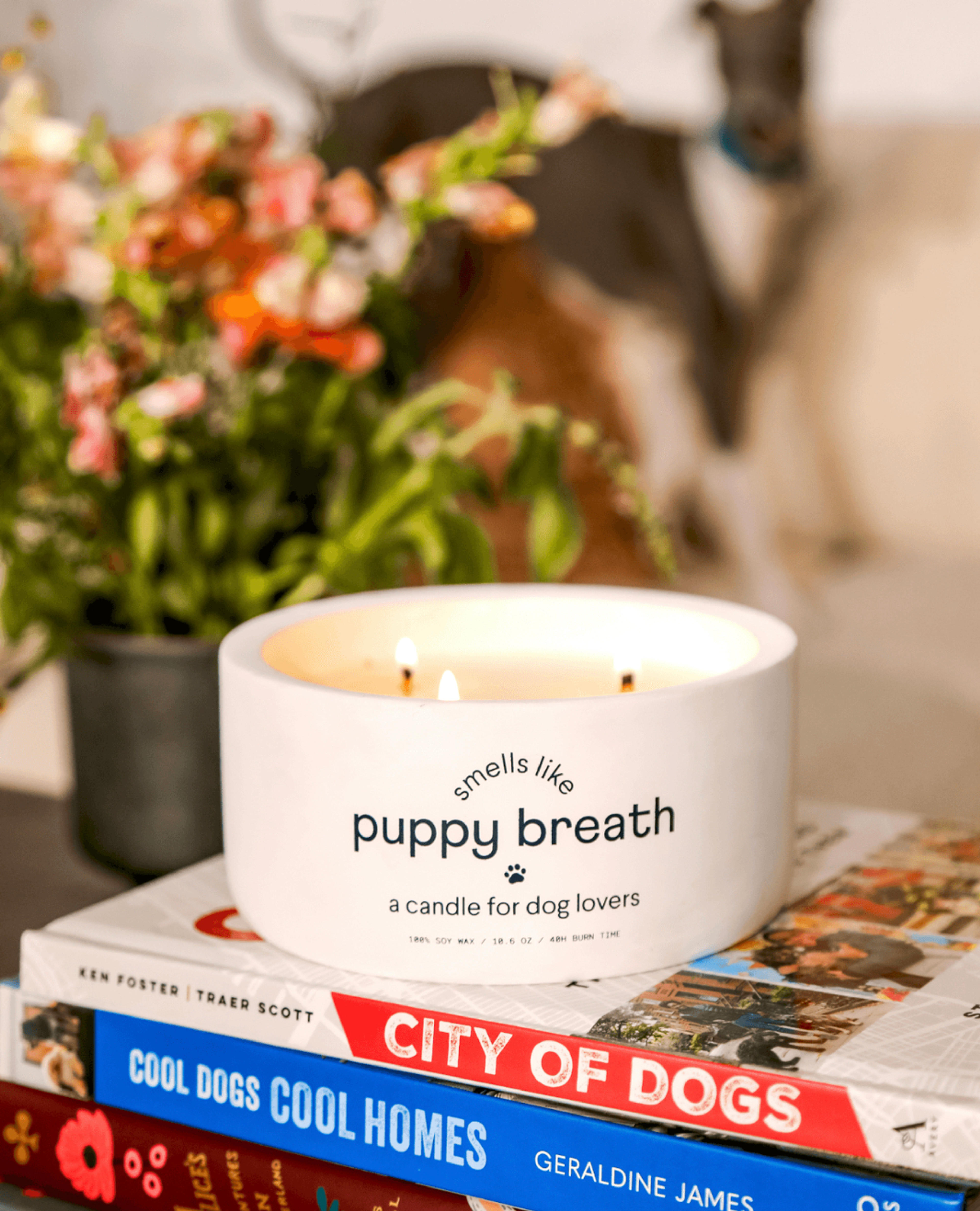 Puppy Breath Candle | Finn