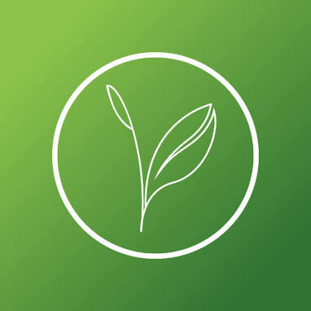 Kijani Forestry