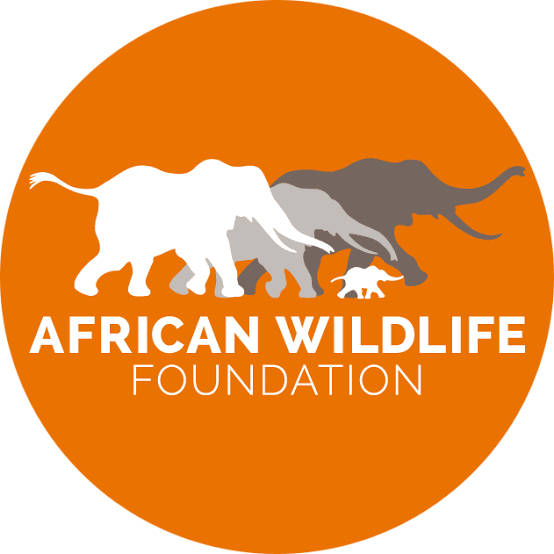 African Wildlife Foundation