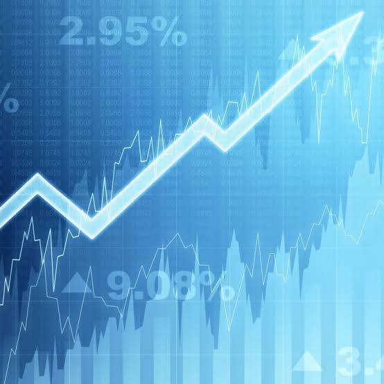 Nekses Investments Limited