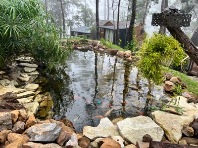 Water Features