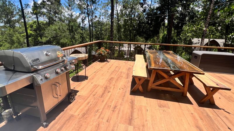 Sustainable cabins at Cassalena Ecolodge