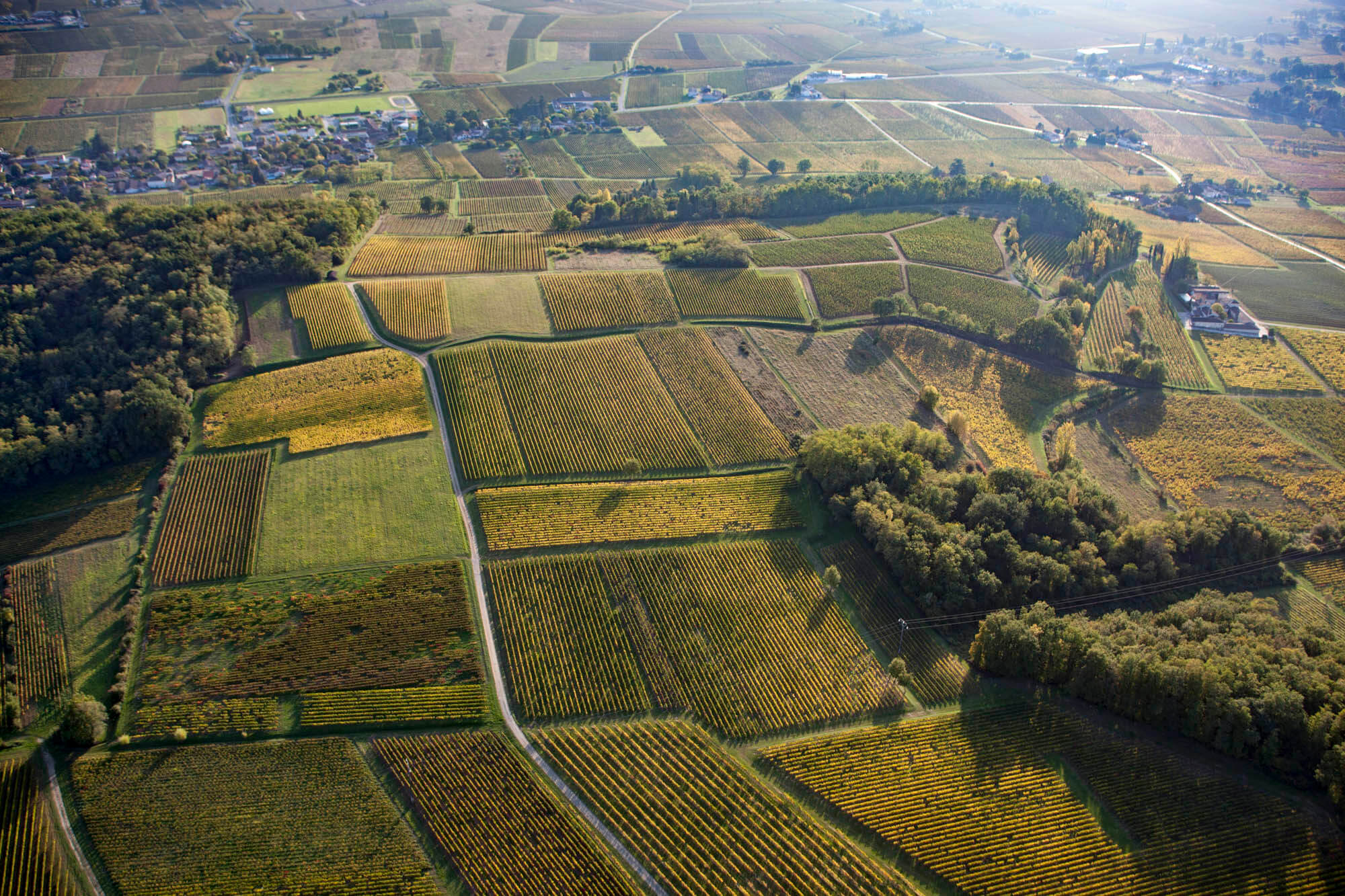 Home - Castillon Caracteres