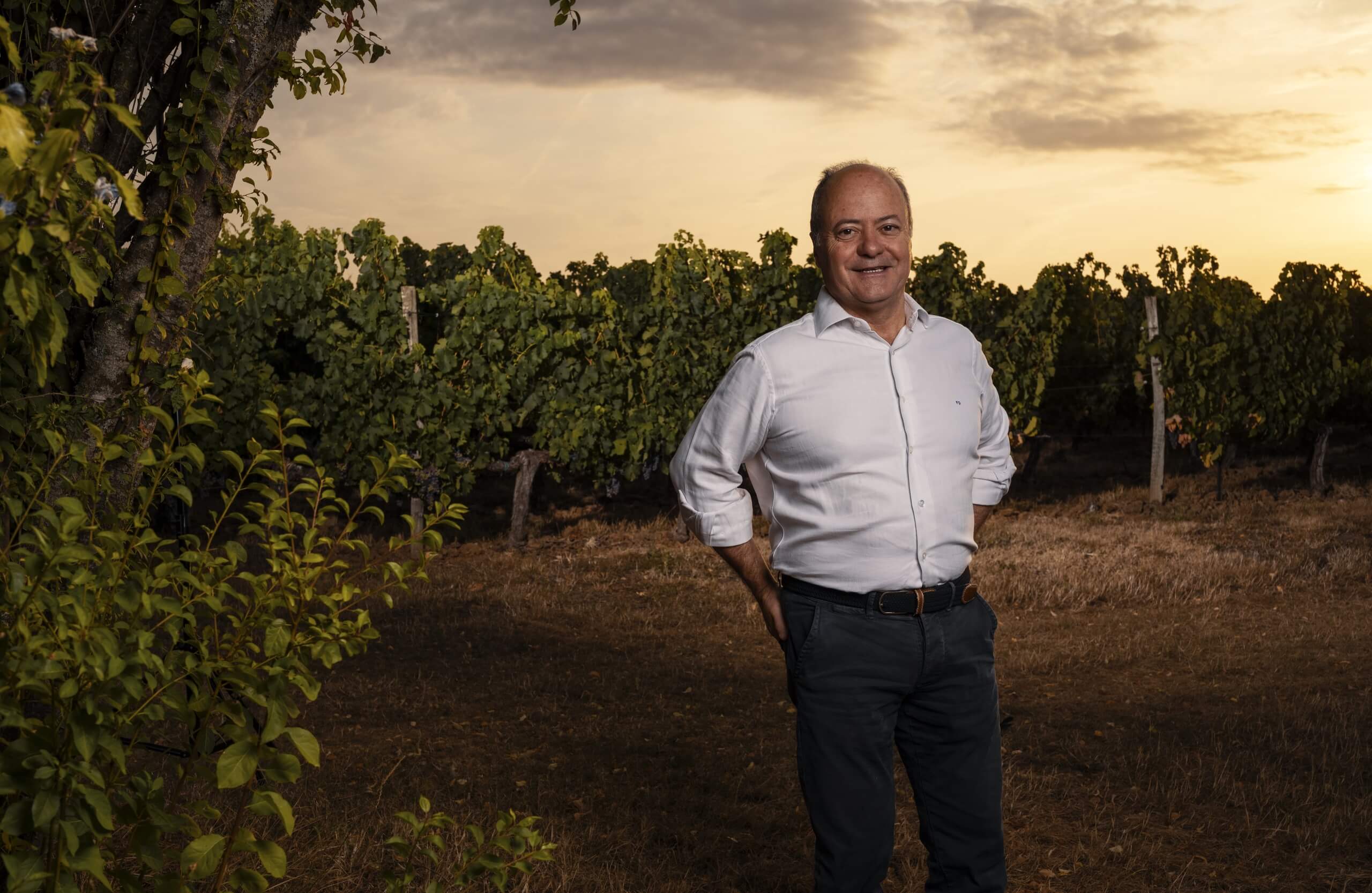 Clos Puy Arnaud - Castillon Caracteres