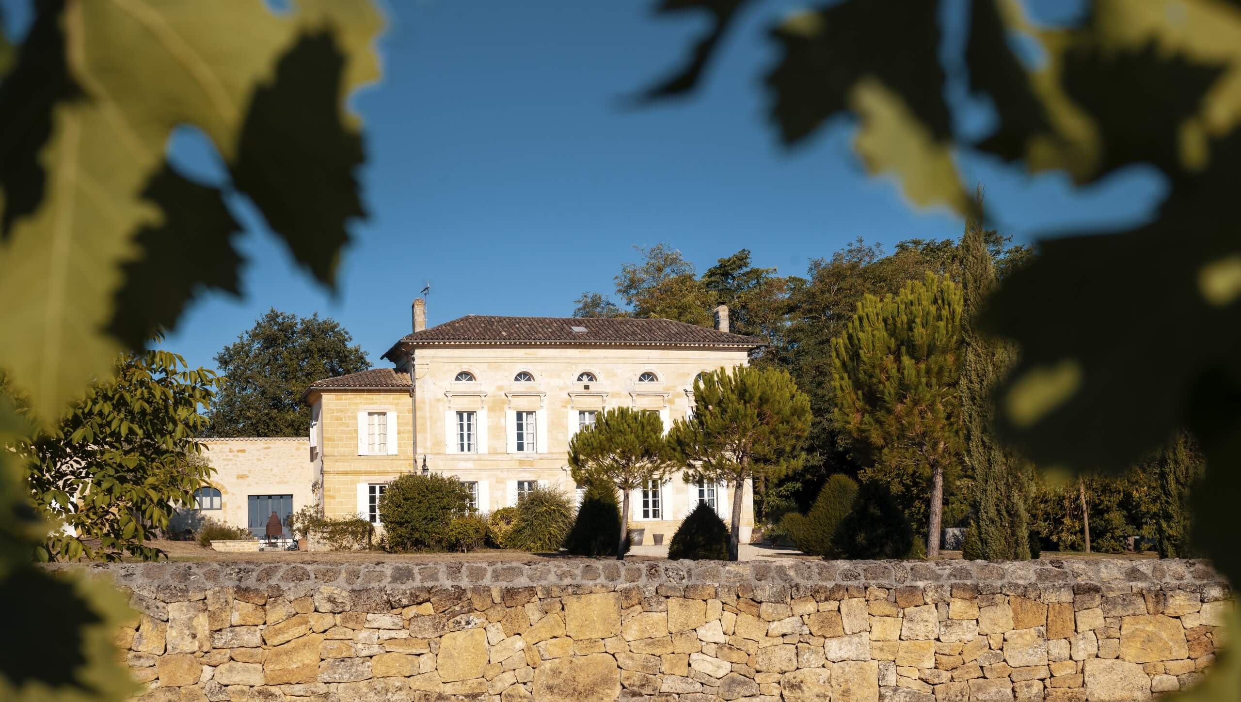 Château Le Rey - Castillon Caracteres