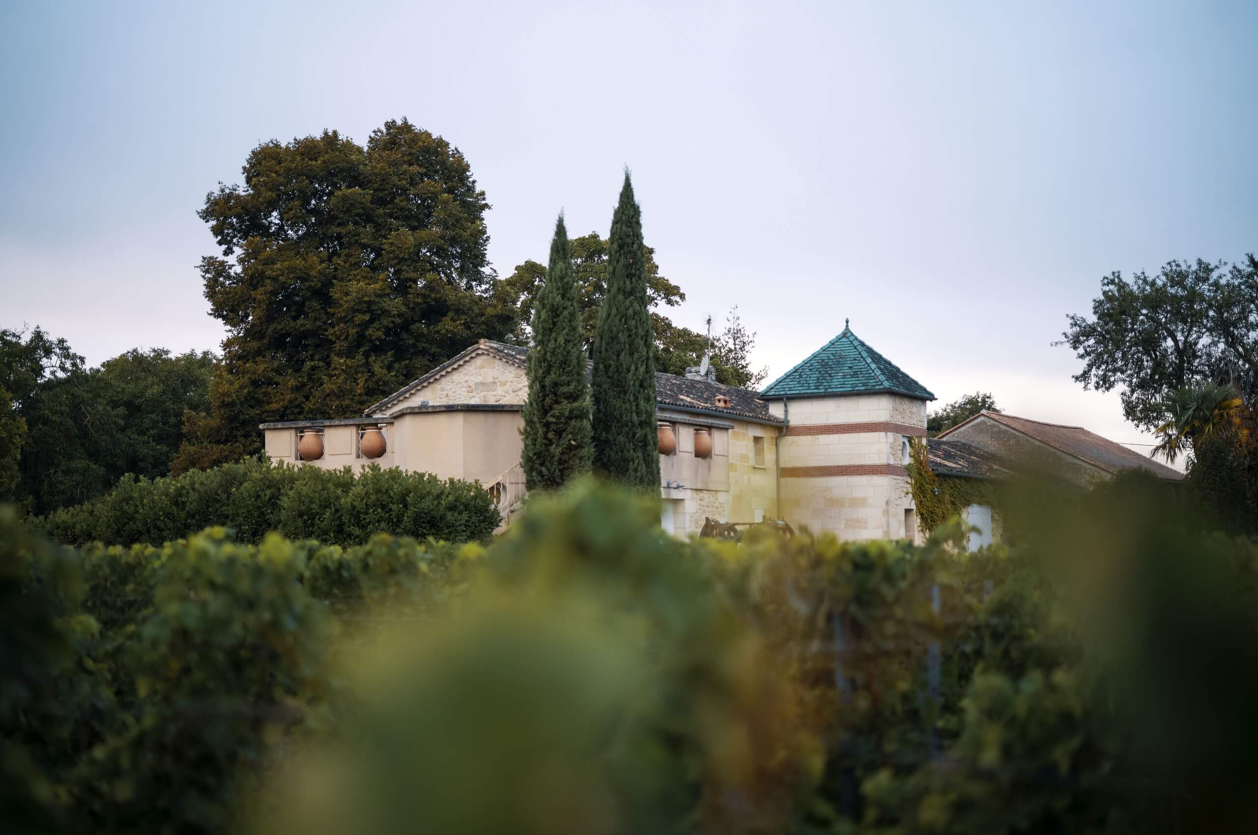 Château Peyrou - Castillon Caracteres