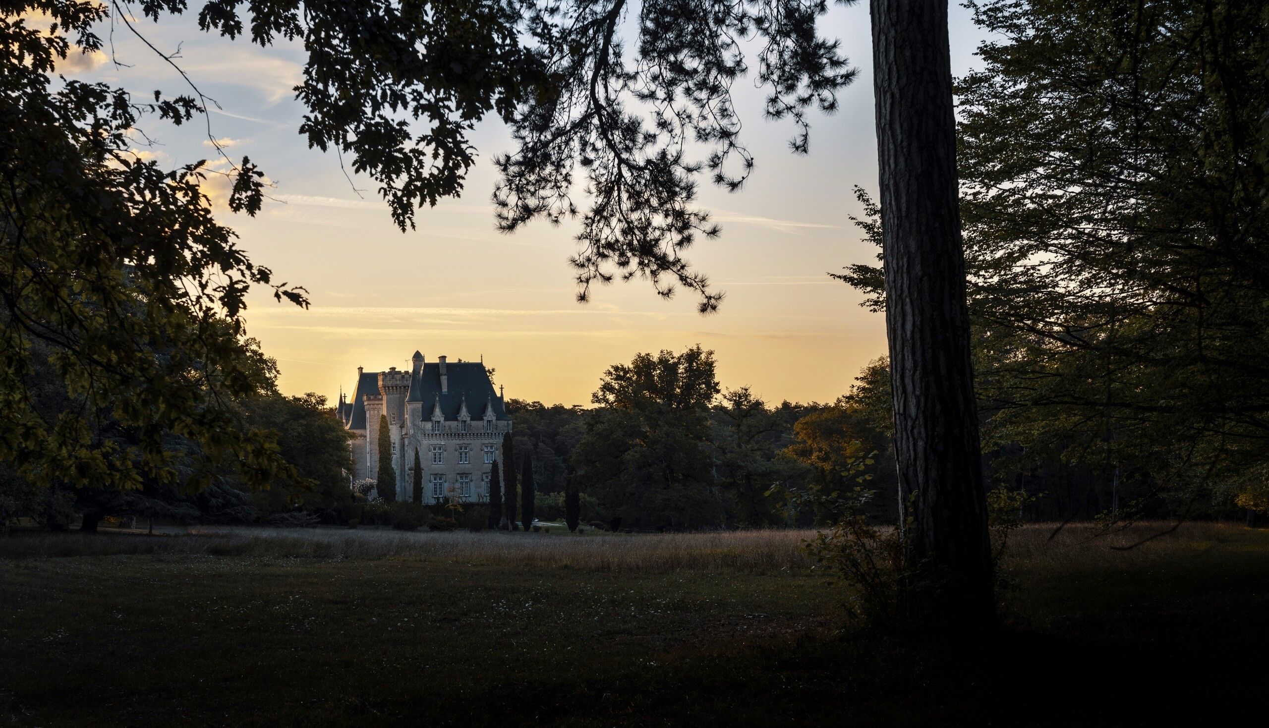 Château de Pitray - Castillon Caracteres