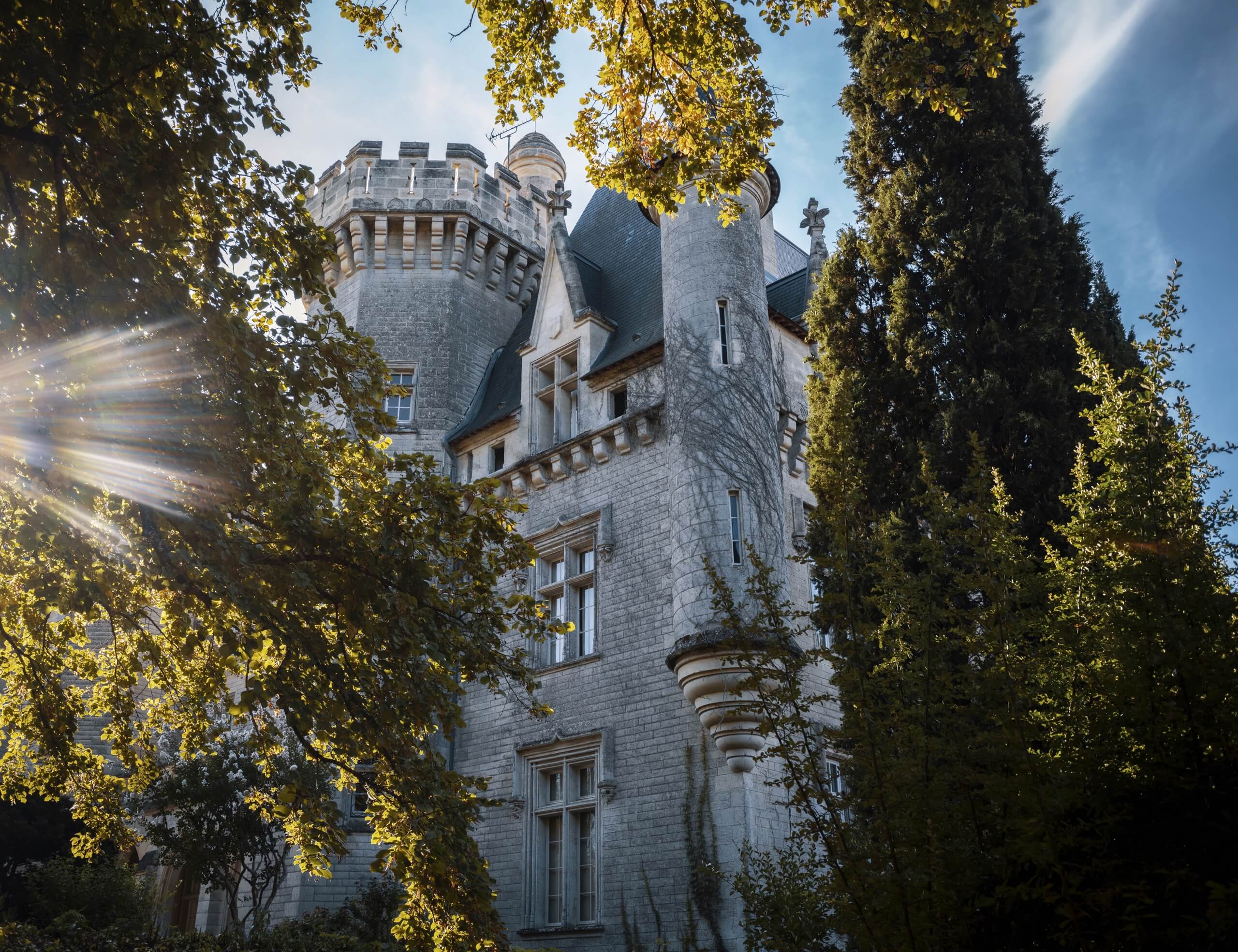 Château de Pitray - Castillon Caracteres