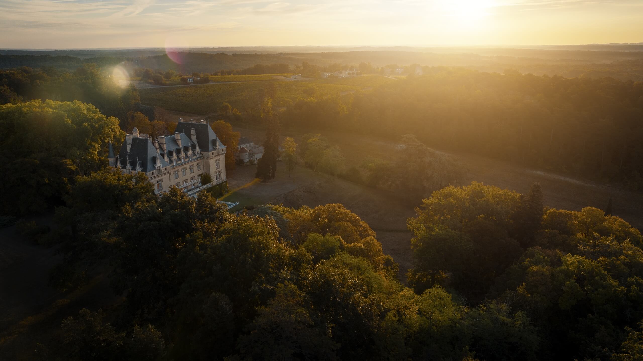 Château de Pitray - Castillon Caracteres