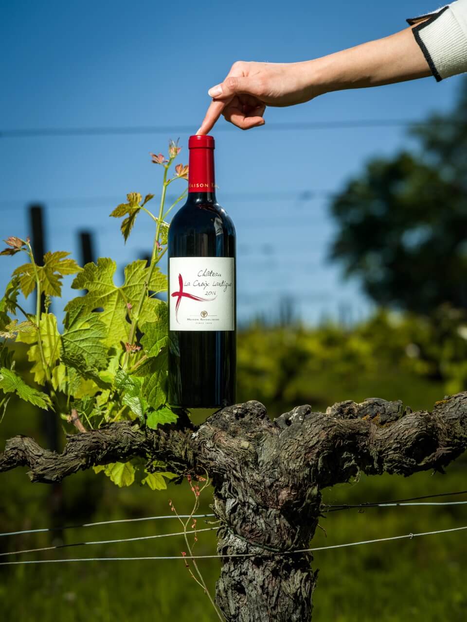 Château La Croix Lartigue - Castillon Caracteres