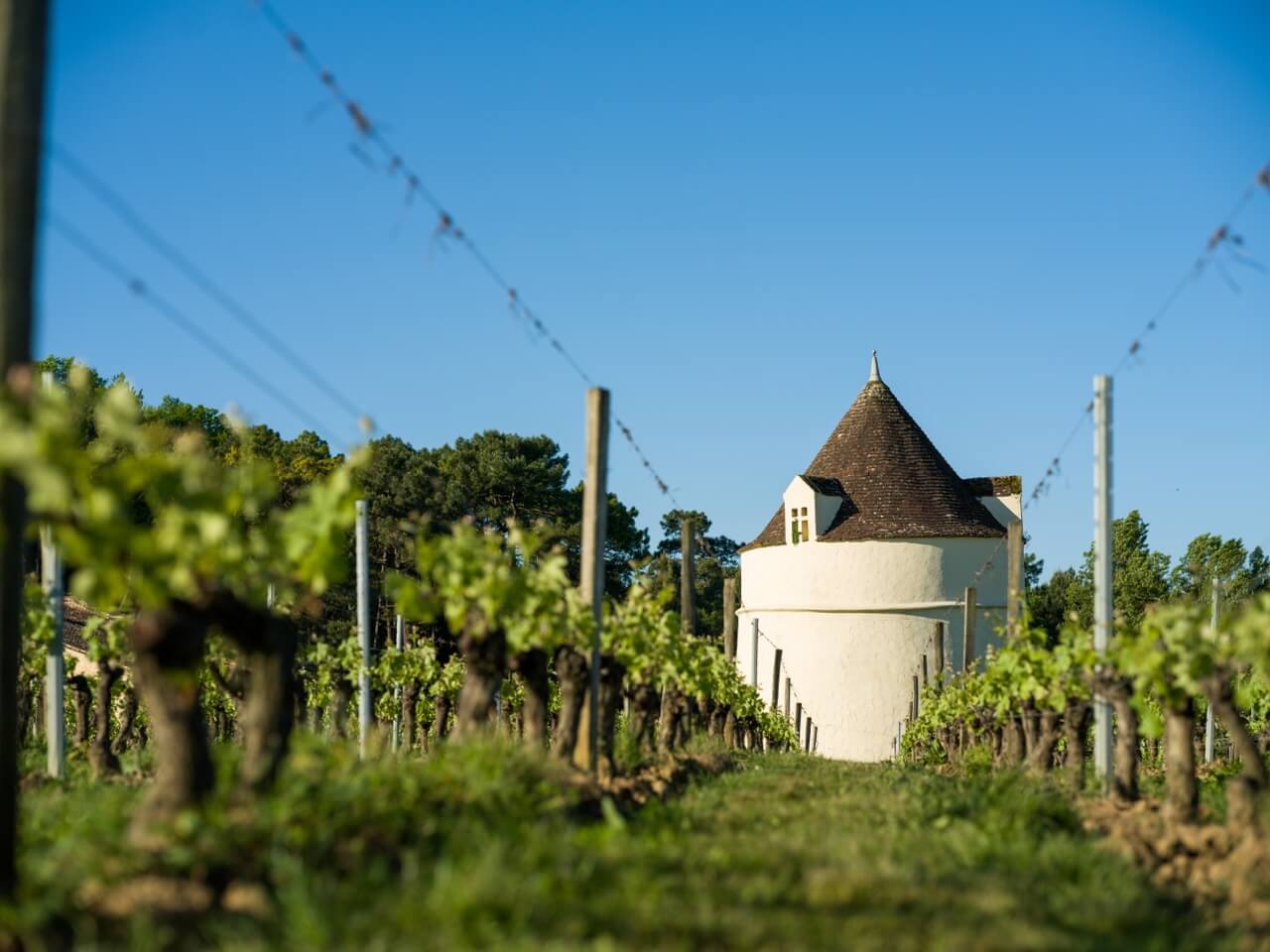 Château de Clotte - Castillon Caracteres