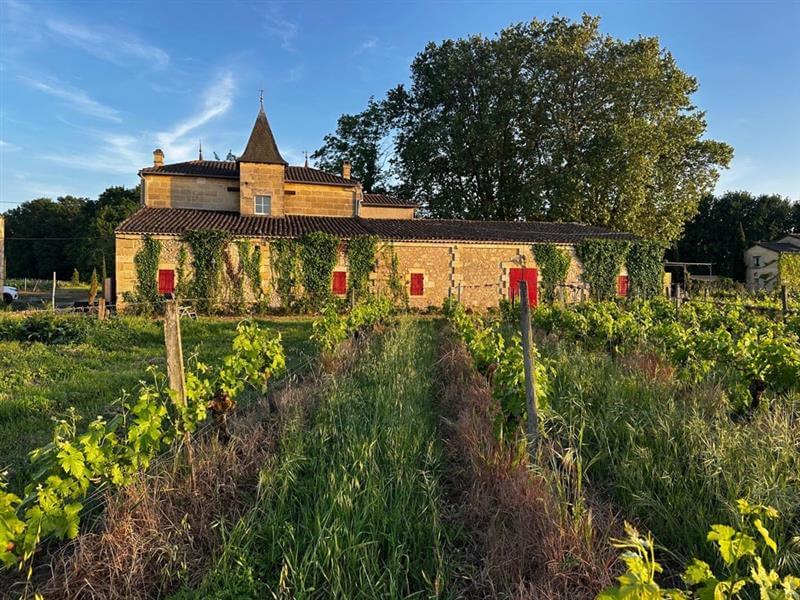 Château Lacarel - Castillon Caracteres