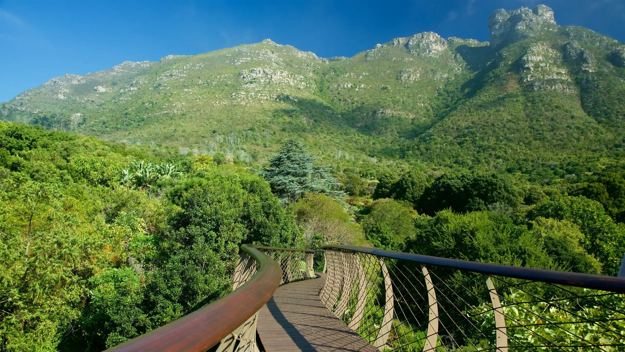 Kirstenbosch National Botanical Garden