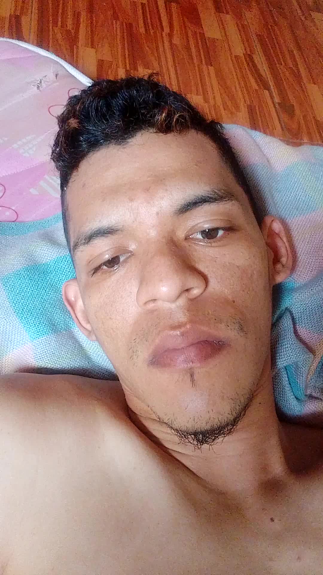 El modelo Luis 