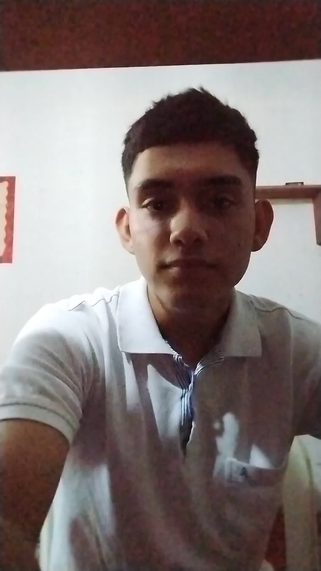 Desarrollador
