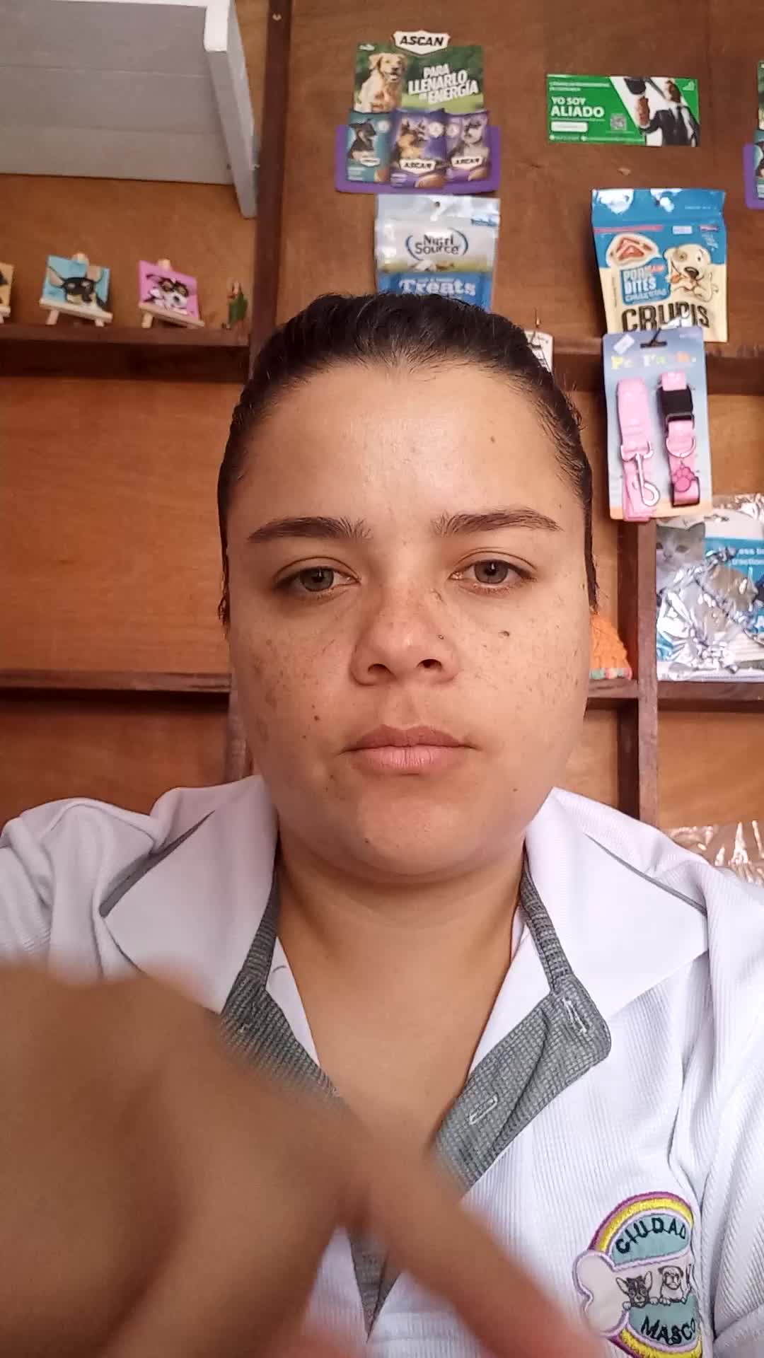 Asistente Virtual