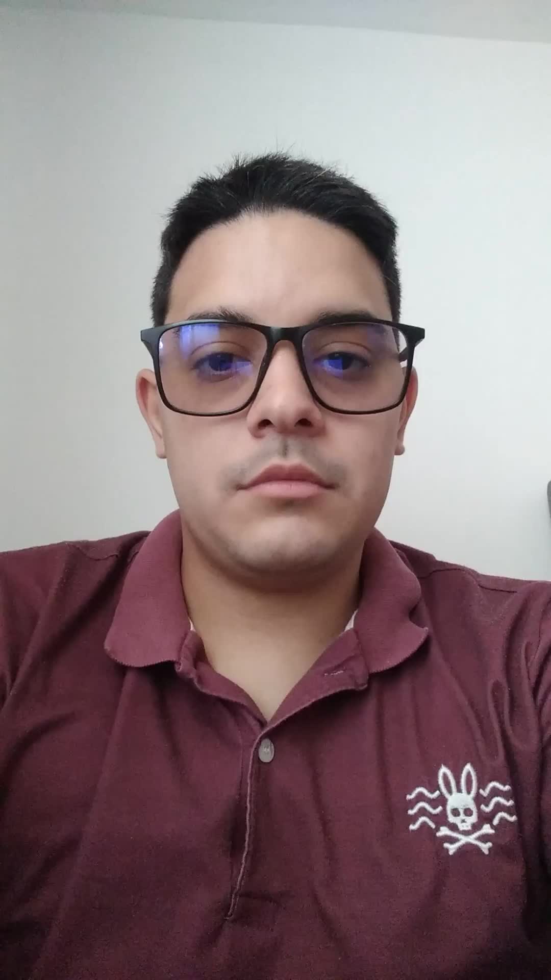 Desarrollador Junior
