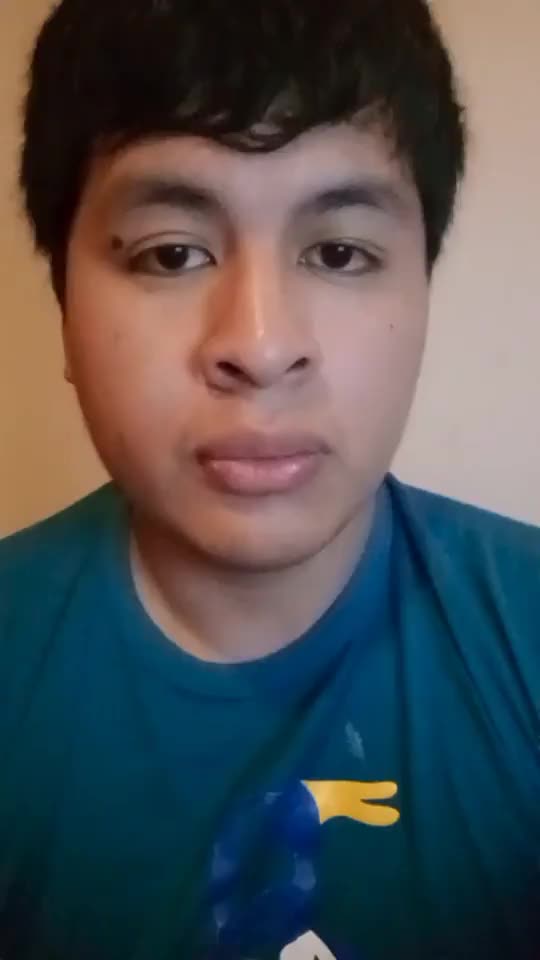 Desarrollador
