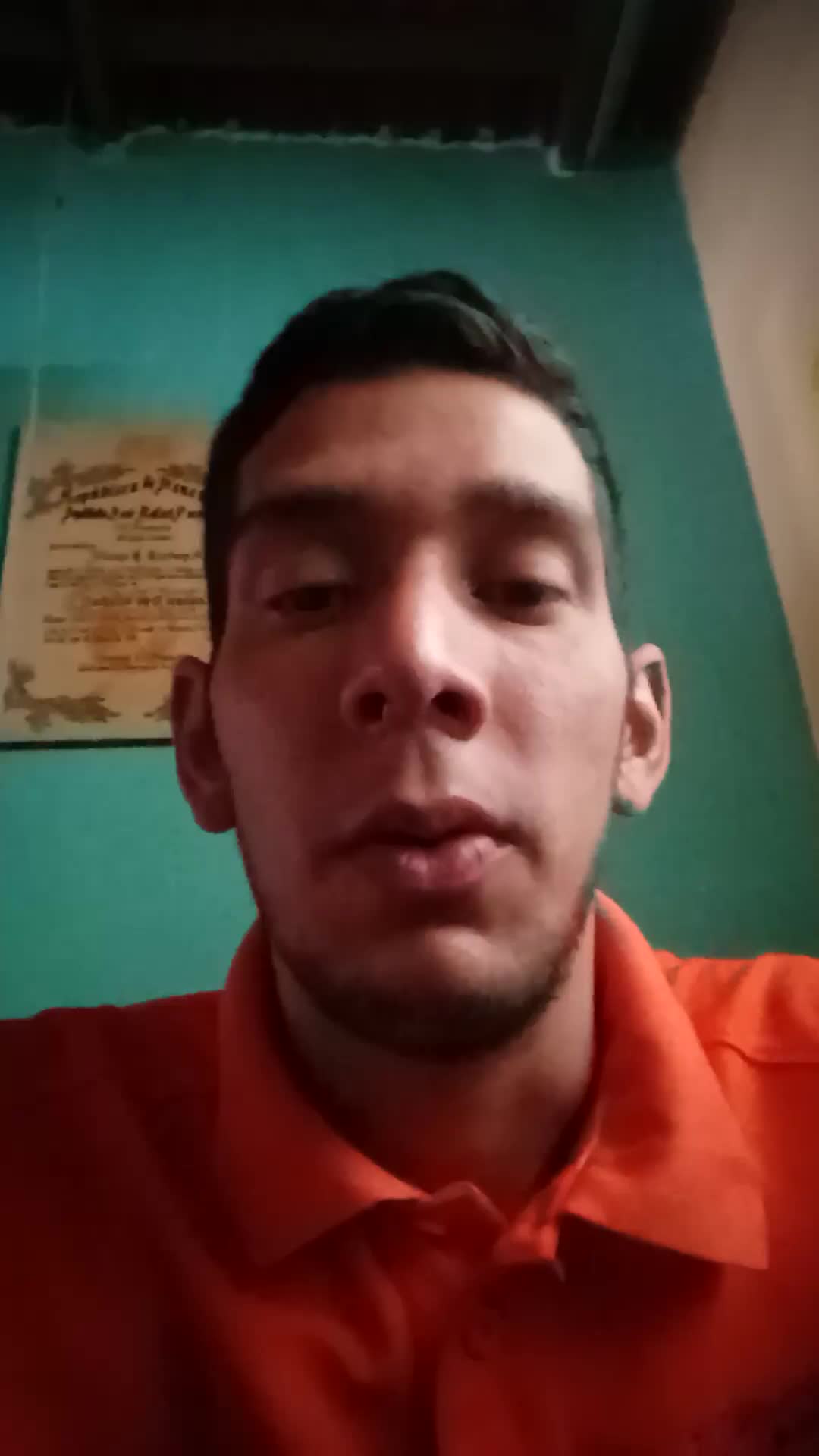 Cocinero,mesonero , bartender 