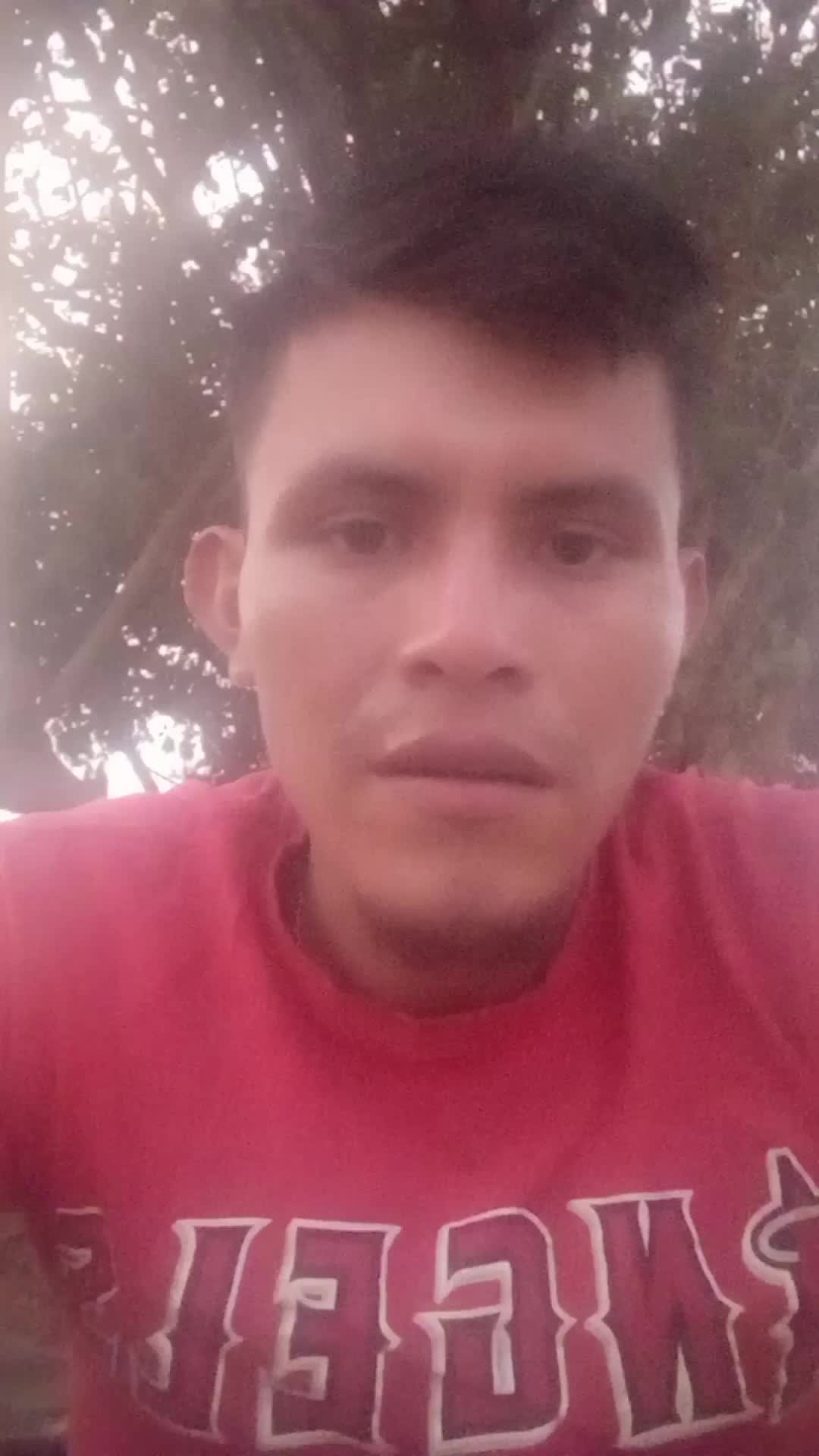Publisista