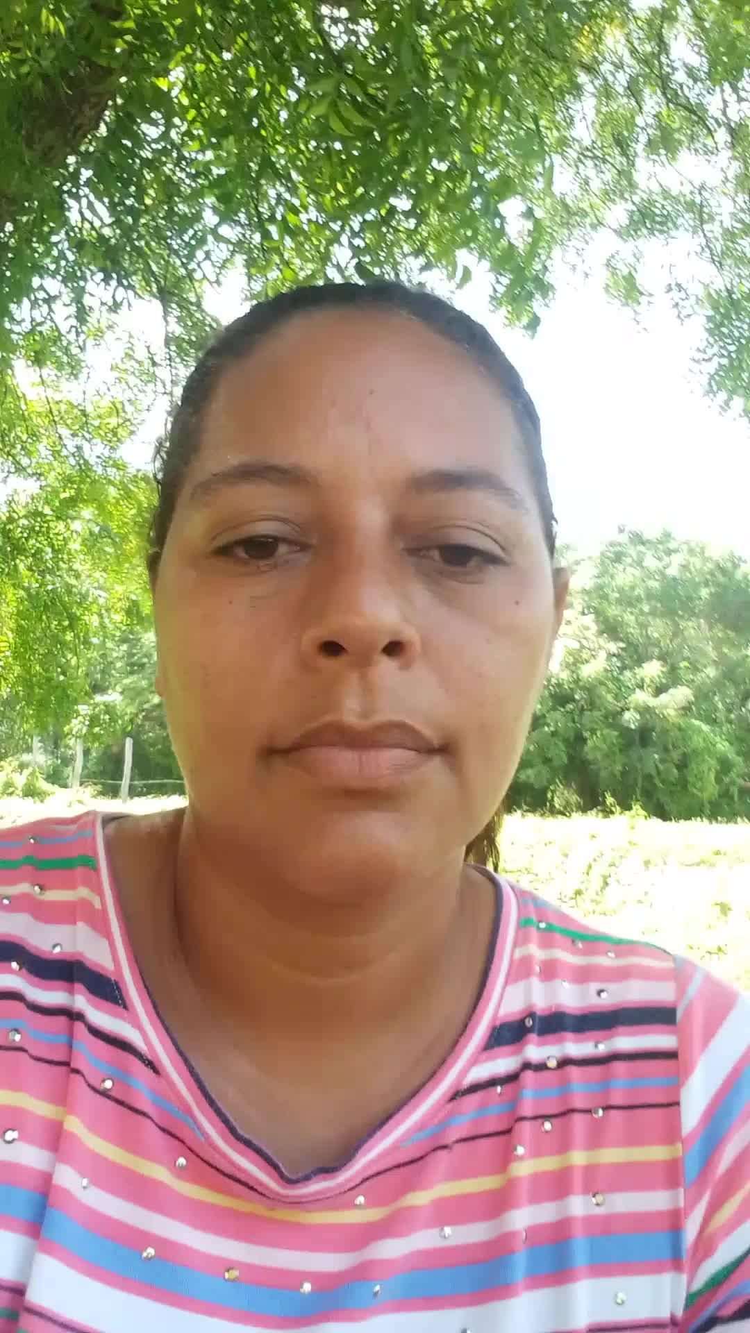 Asistente virtual 