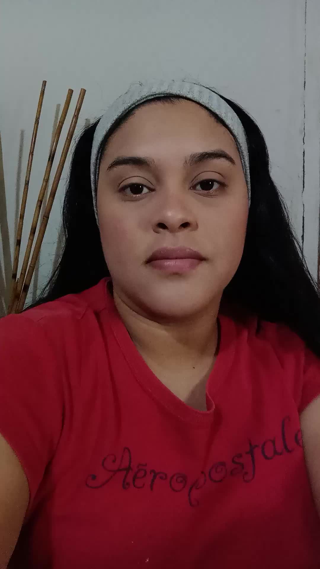 Asistente Virtual/Telemarketing 