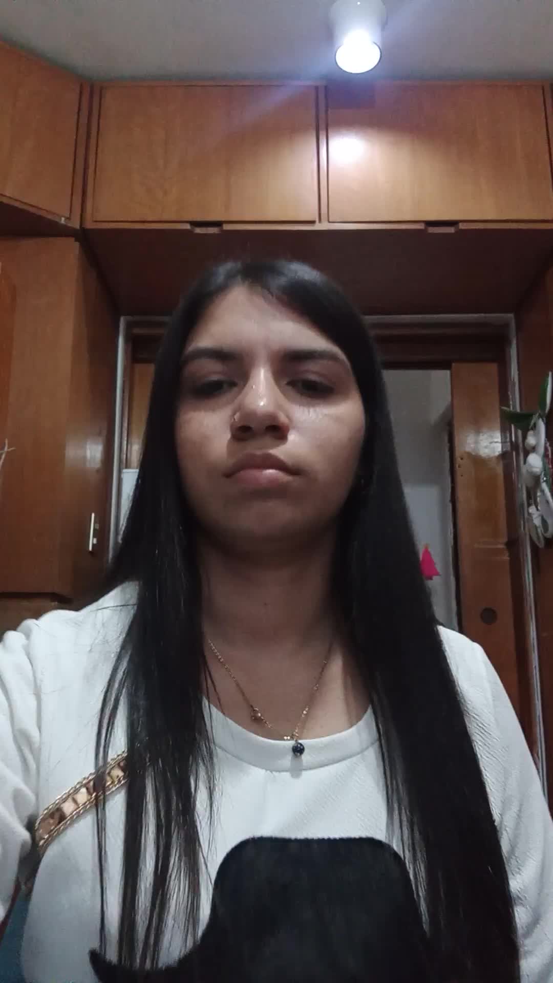 Asistente Virtual 