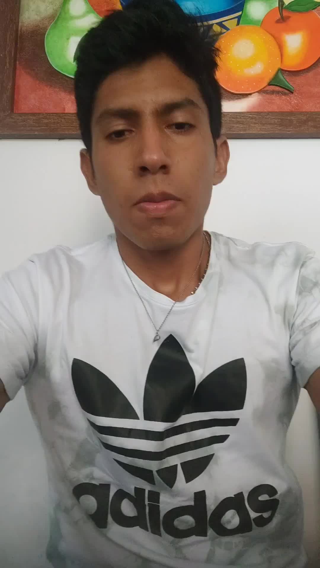 Desarrollador