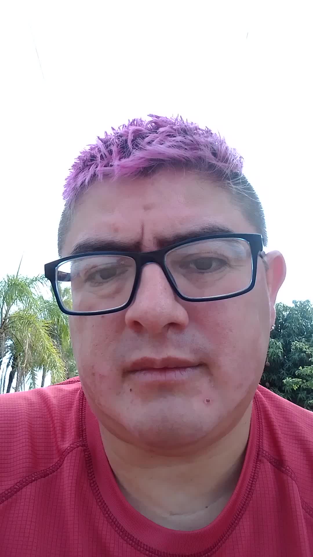 Busco trabajo 