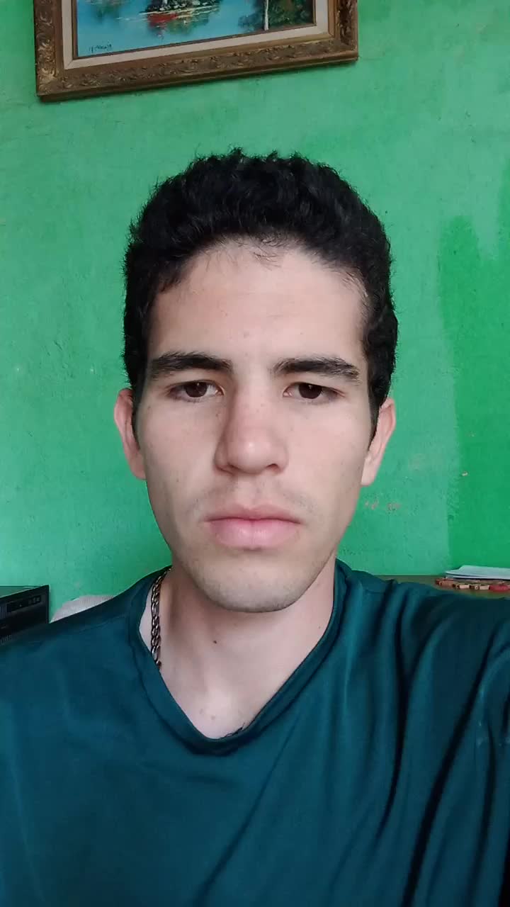 Desarrollador Web