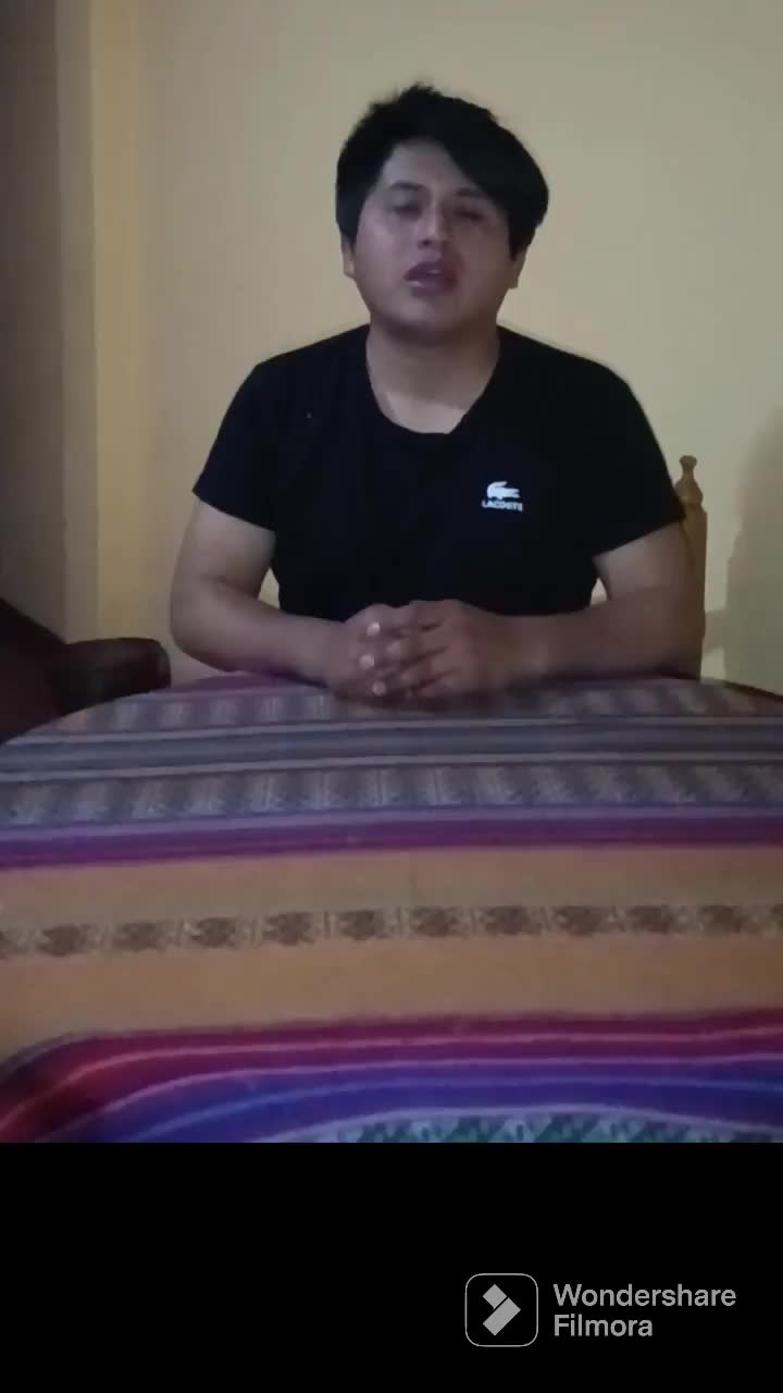 DESARROLLADOR