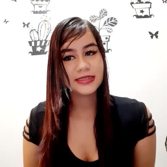 modelo de ropa