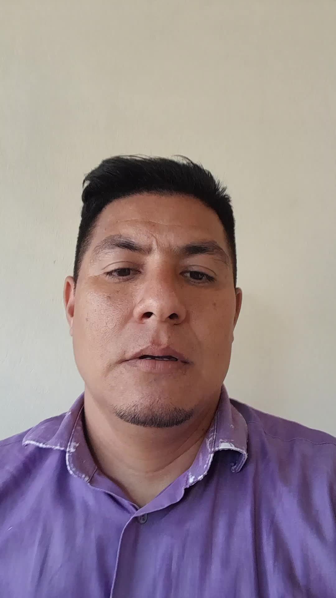 Docente de educacion primaria